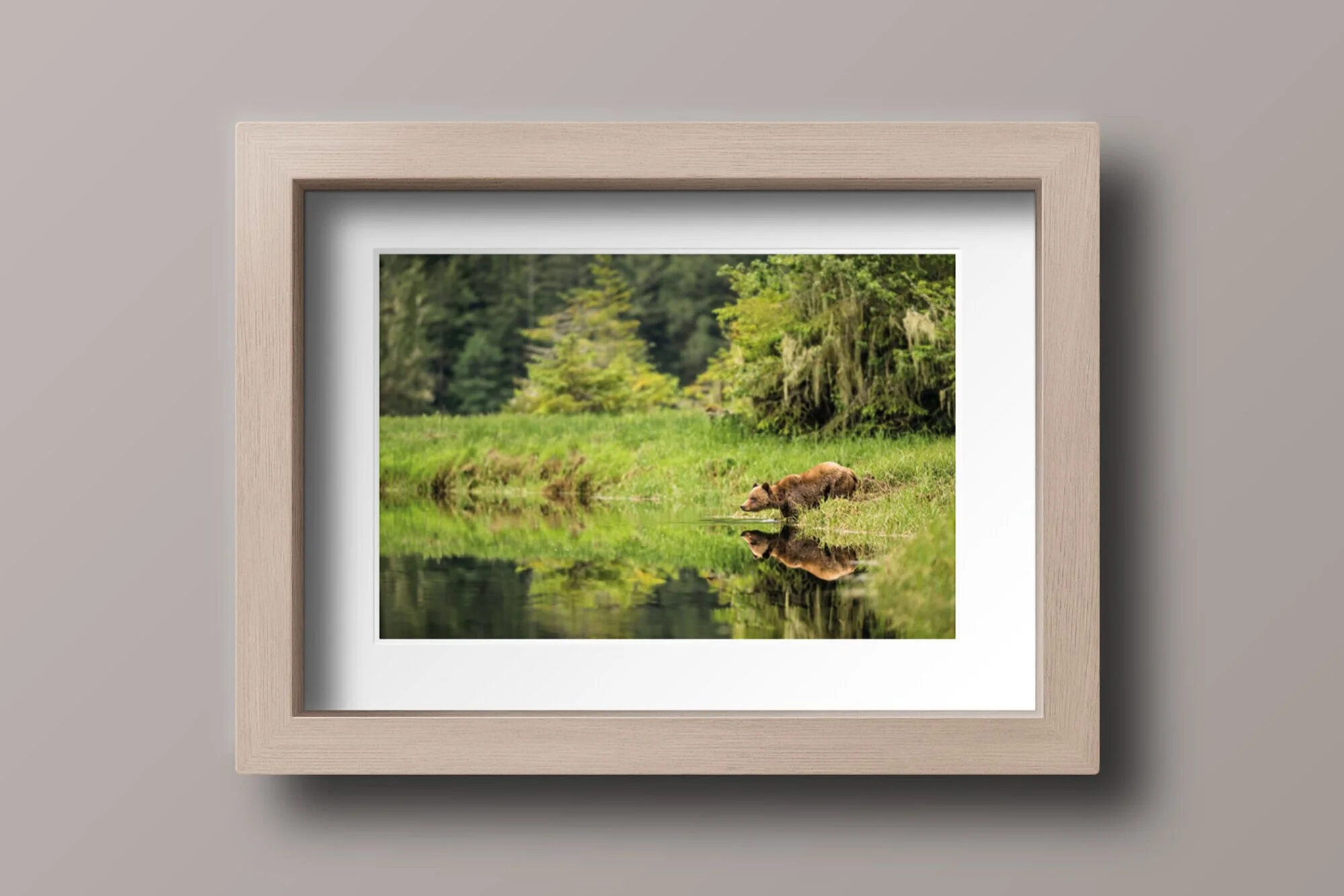 Wood+Photo+Frame+-+Bear.jpg