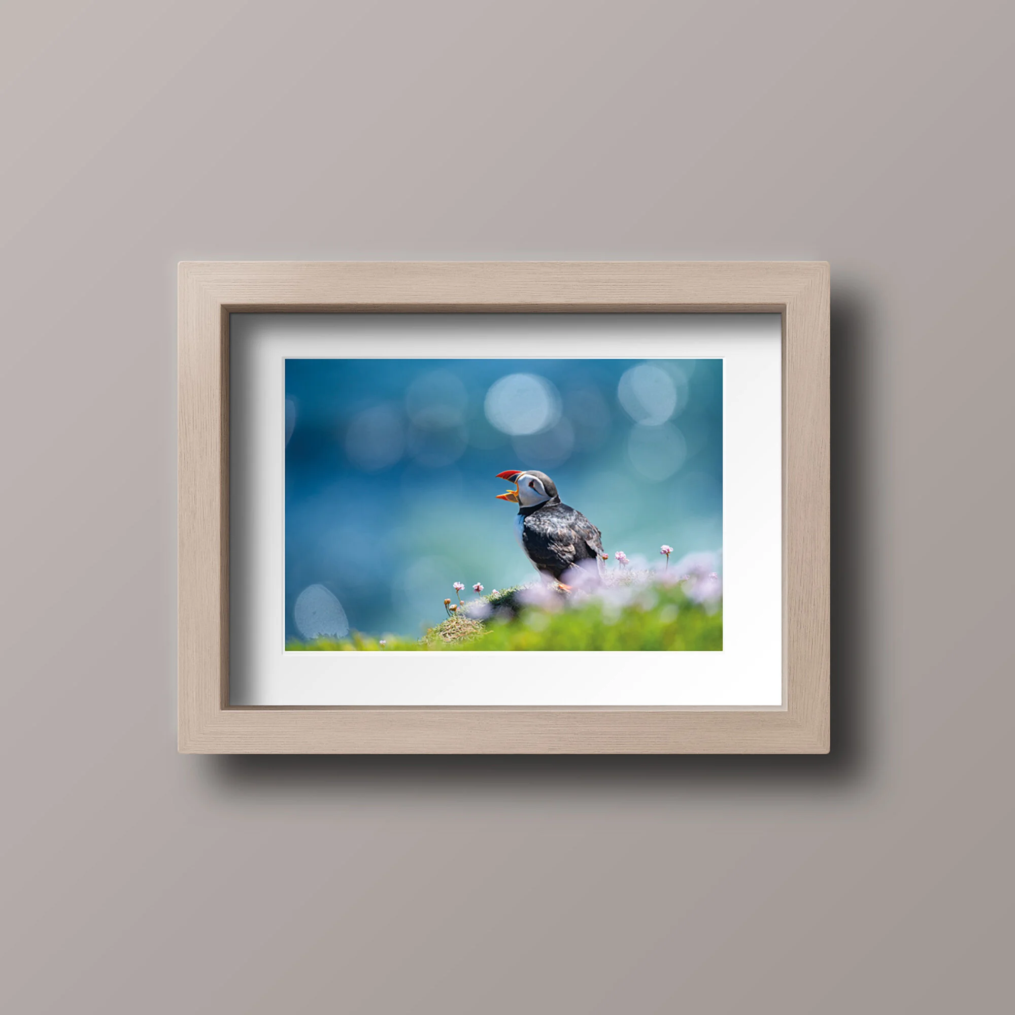 Puffin in thrift - A3 print