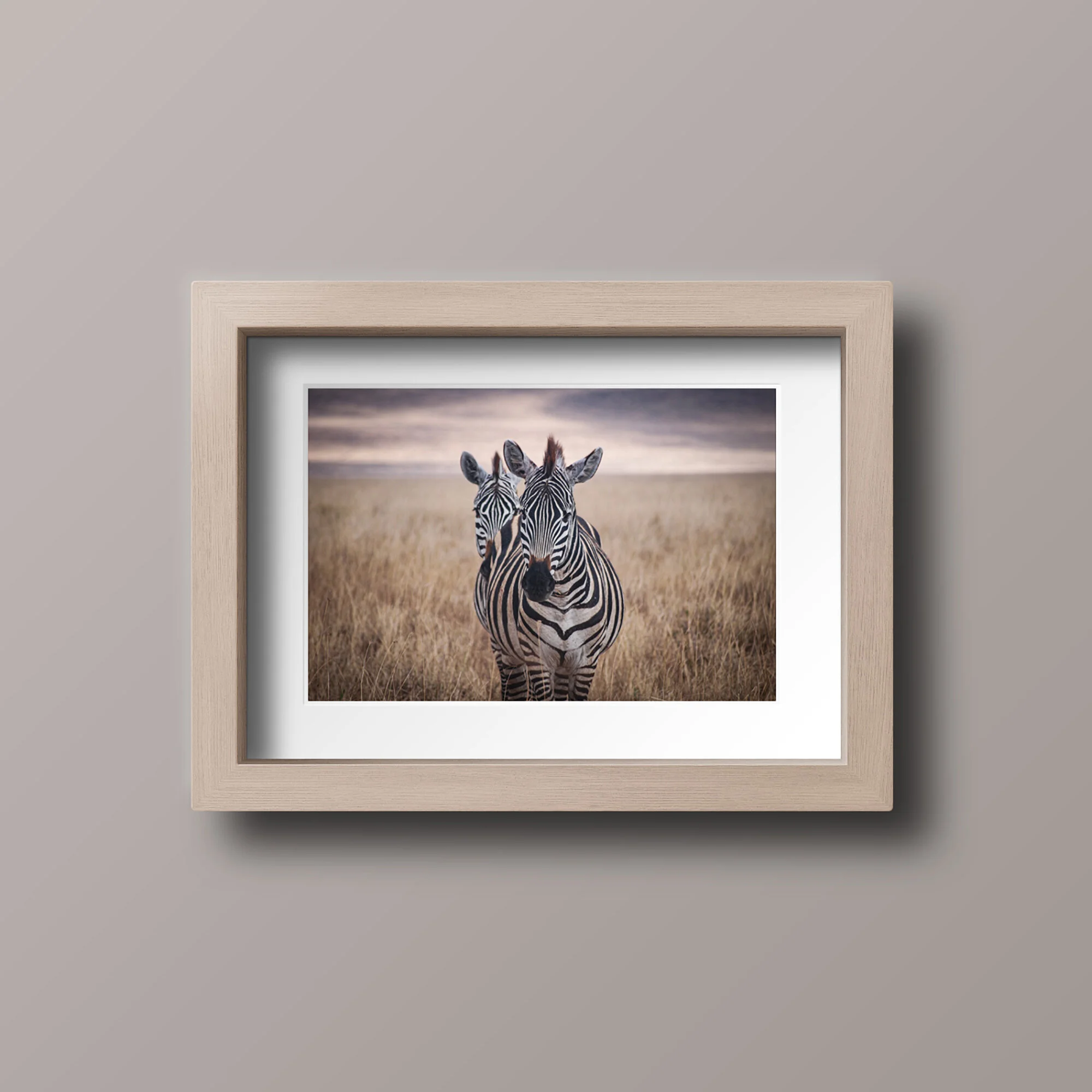 Two Zebras in the Serengeti - A3 print