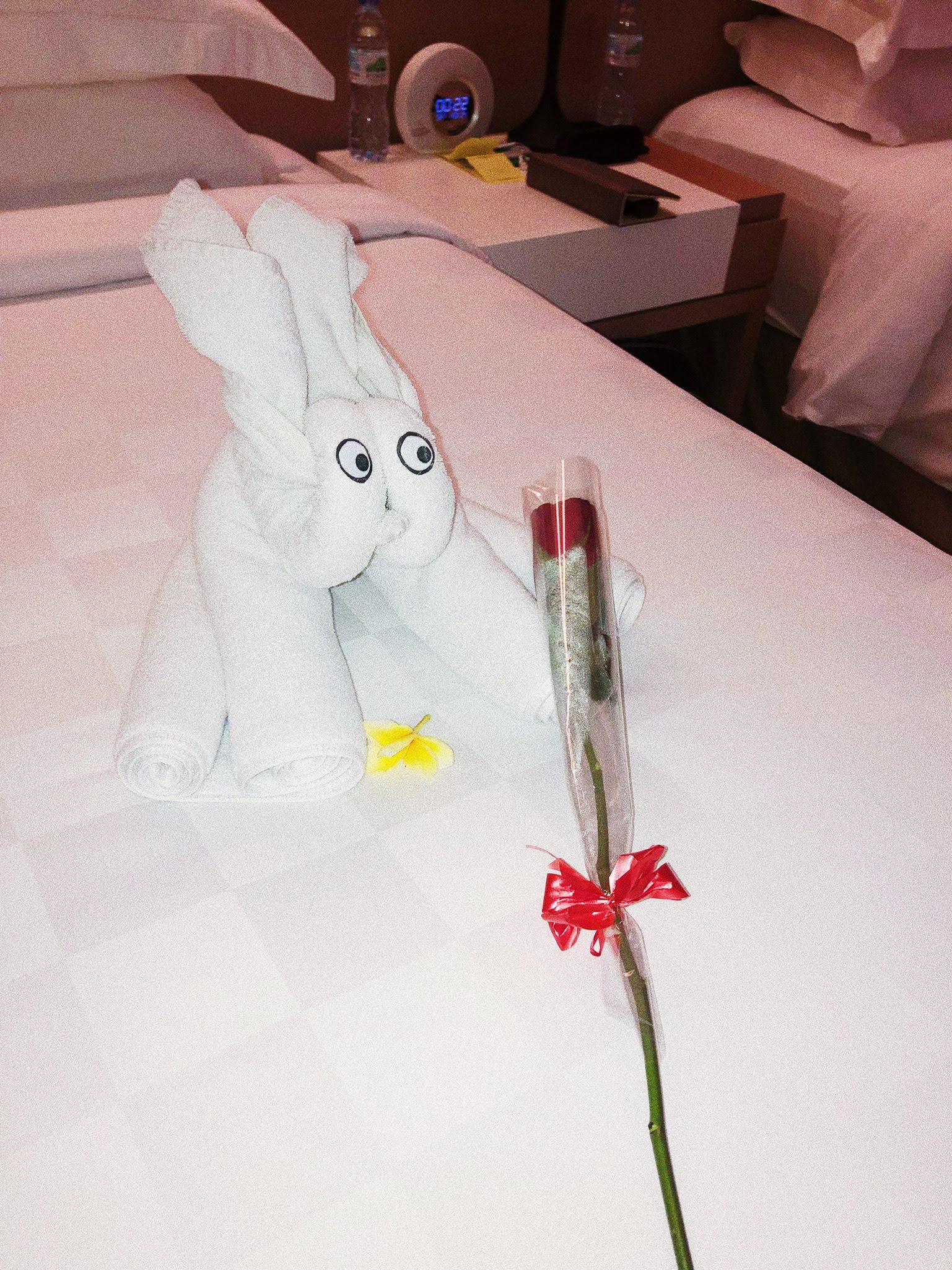 Gifts from Resort Staff