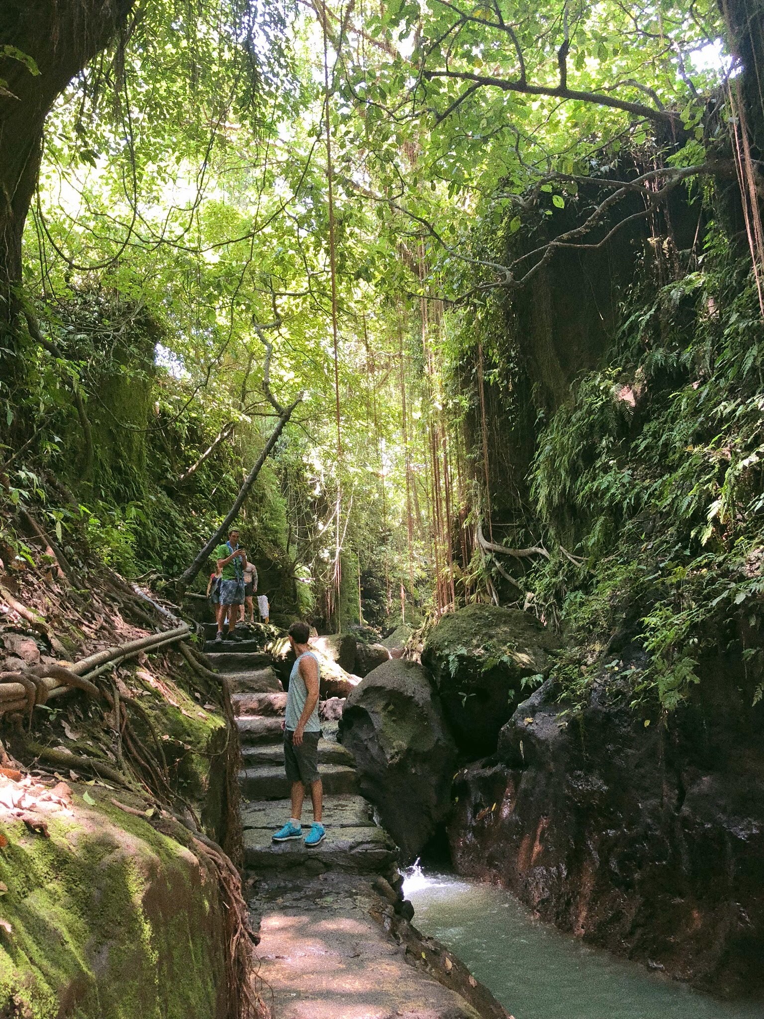 Sacred Monkey Forest
