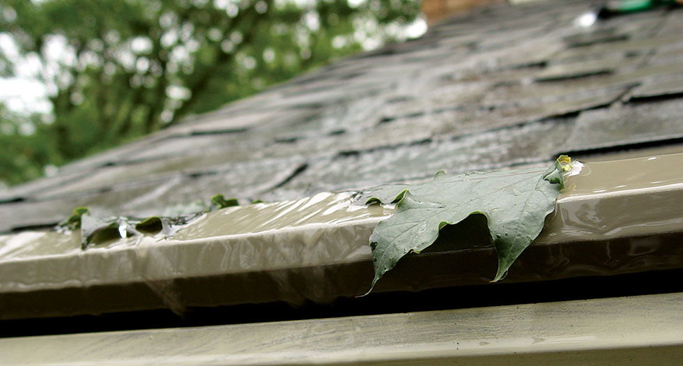 Gutter-Protection-Leafs.jpg