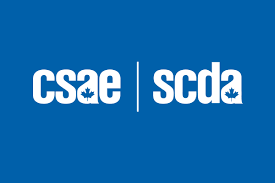 csae2.png