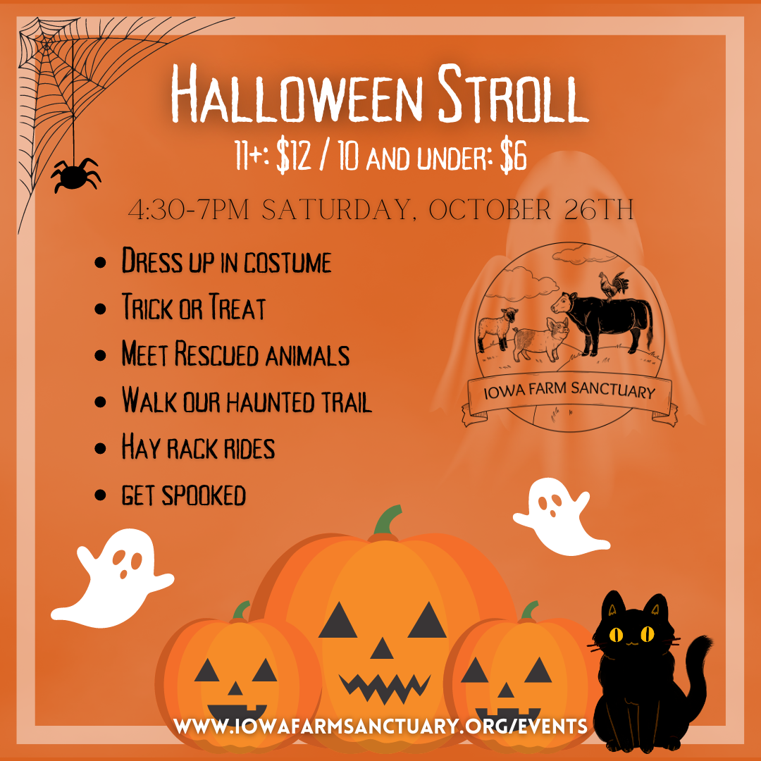 Halloween  Stroll