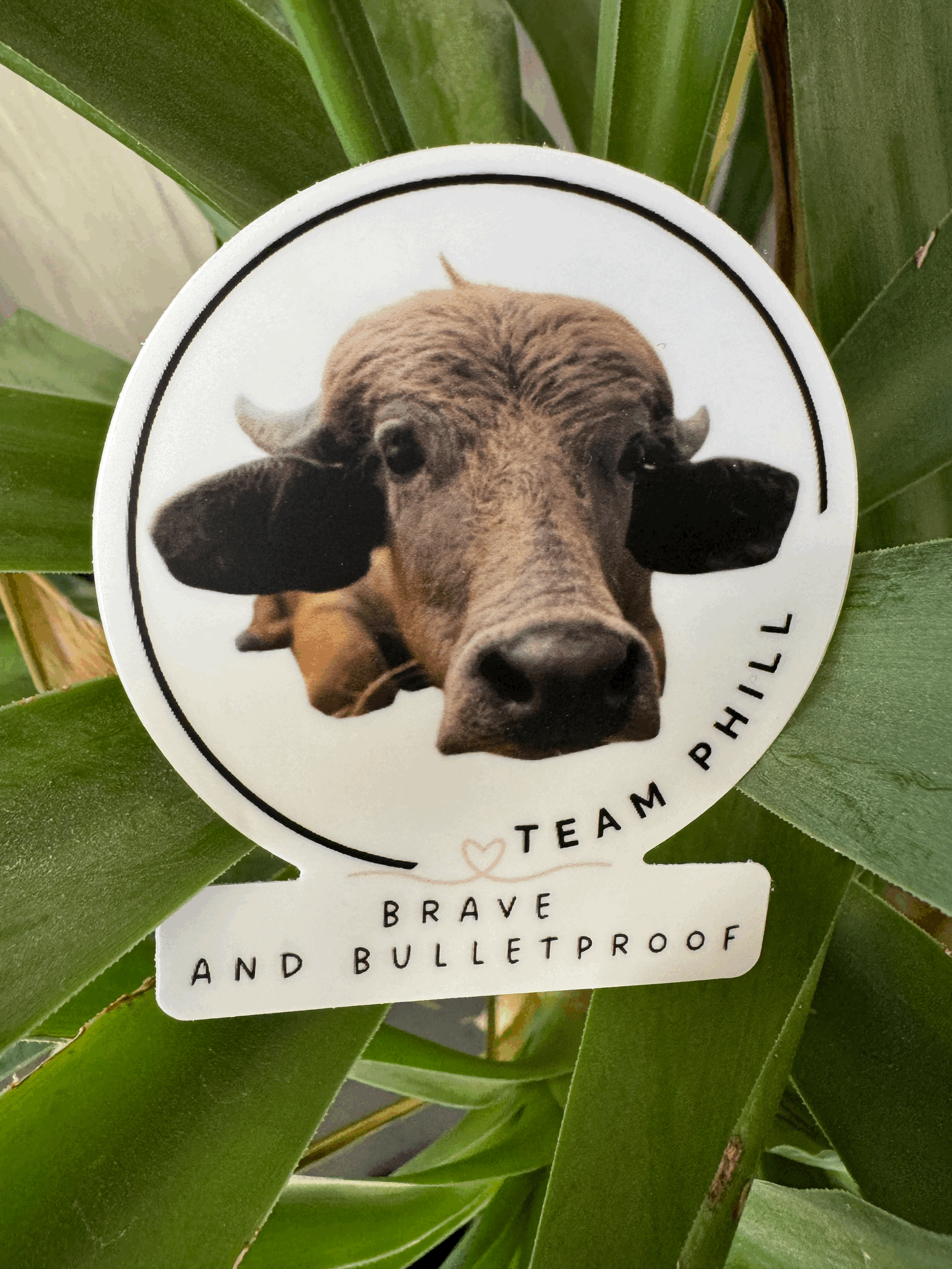 Brave and Bulletproof Sticker