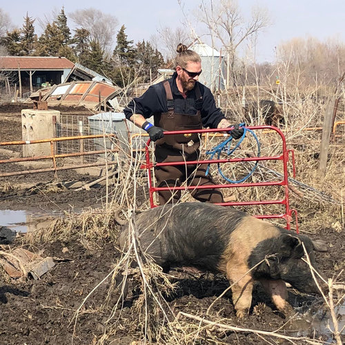 Co-founder, Jered Camp, assists with the rescue of a pig named Love during the floods in Nebraska.