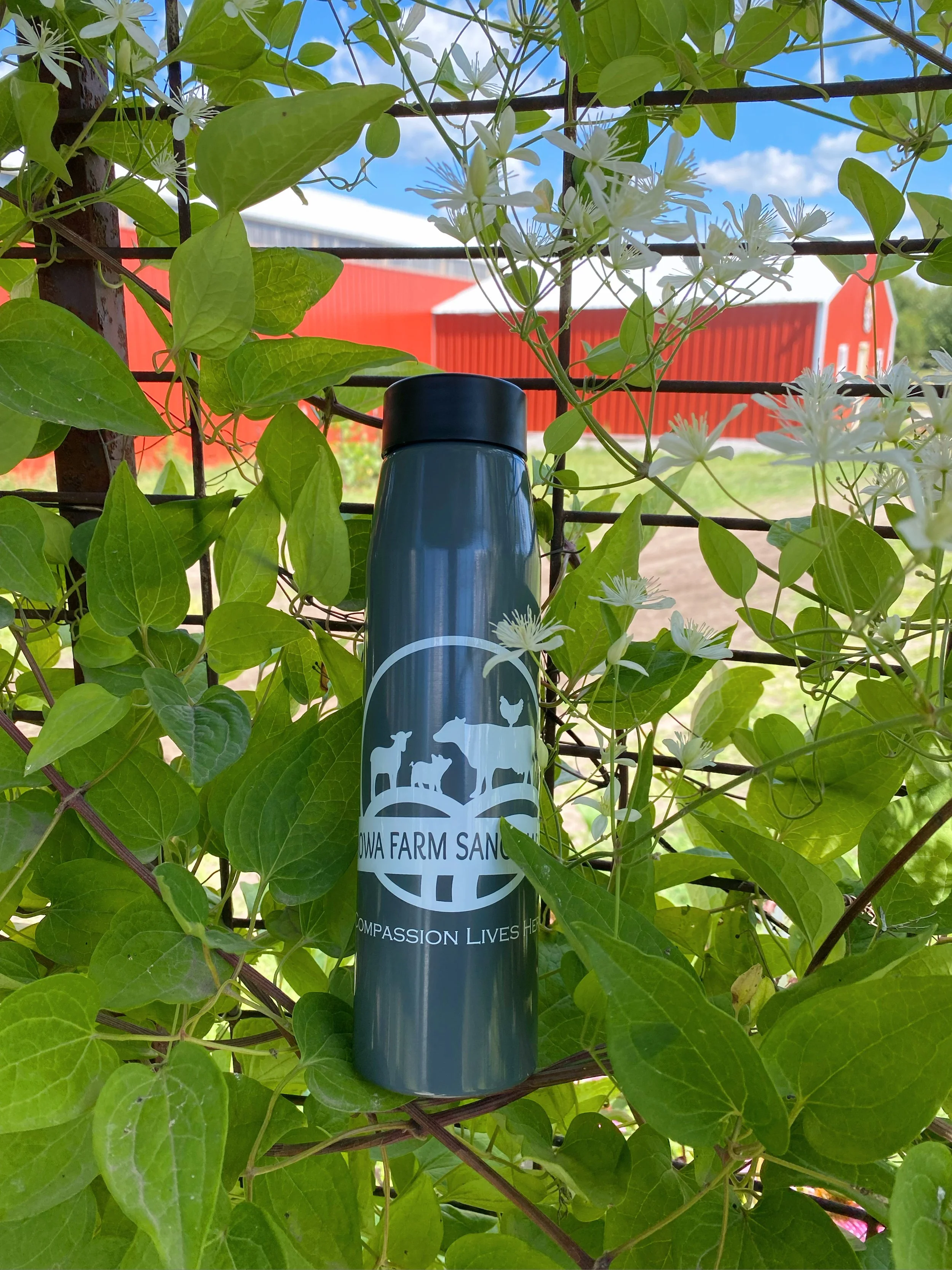 OG Logo Water Bottle