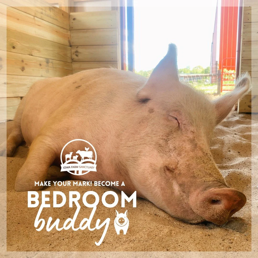 BEDROOM.jpeg