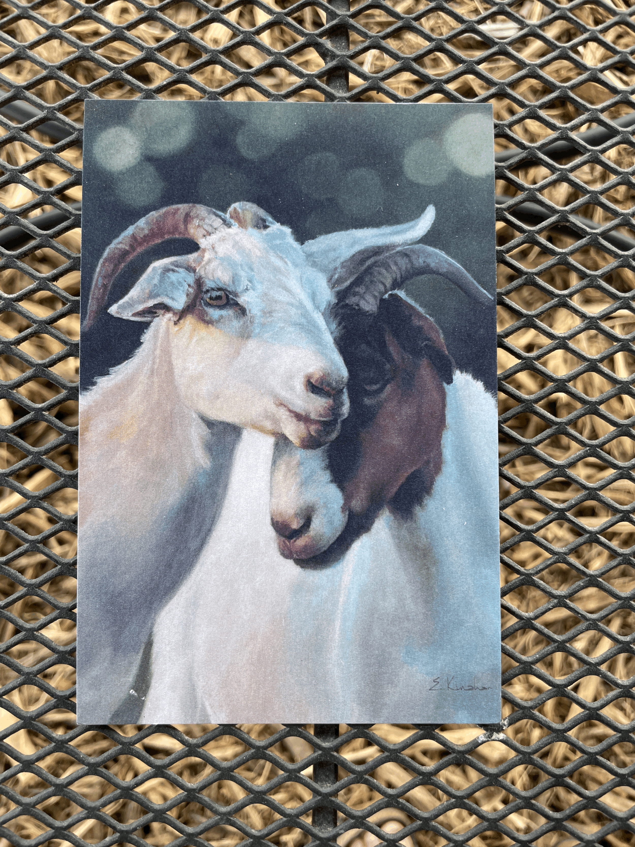 Jewel and Janis Postcard