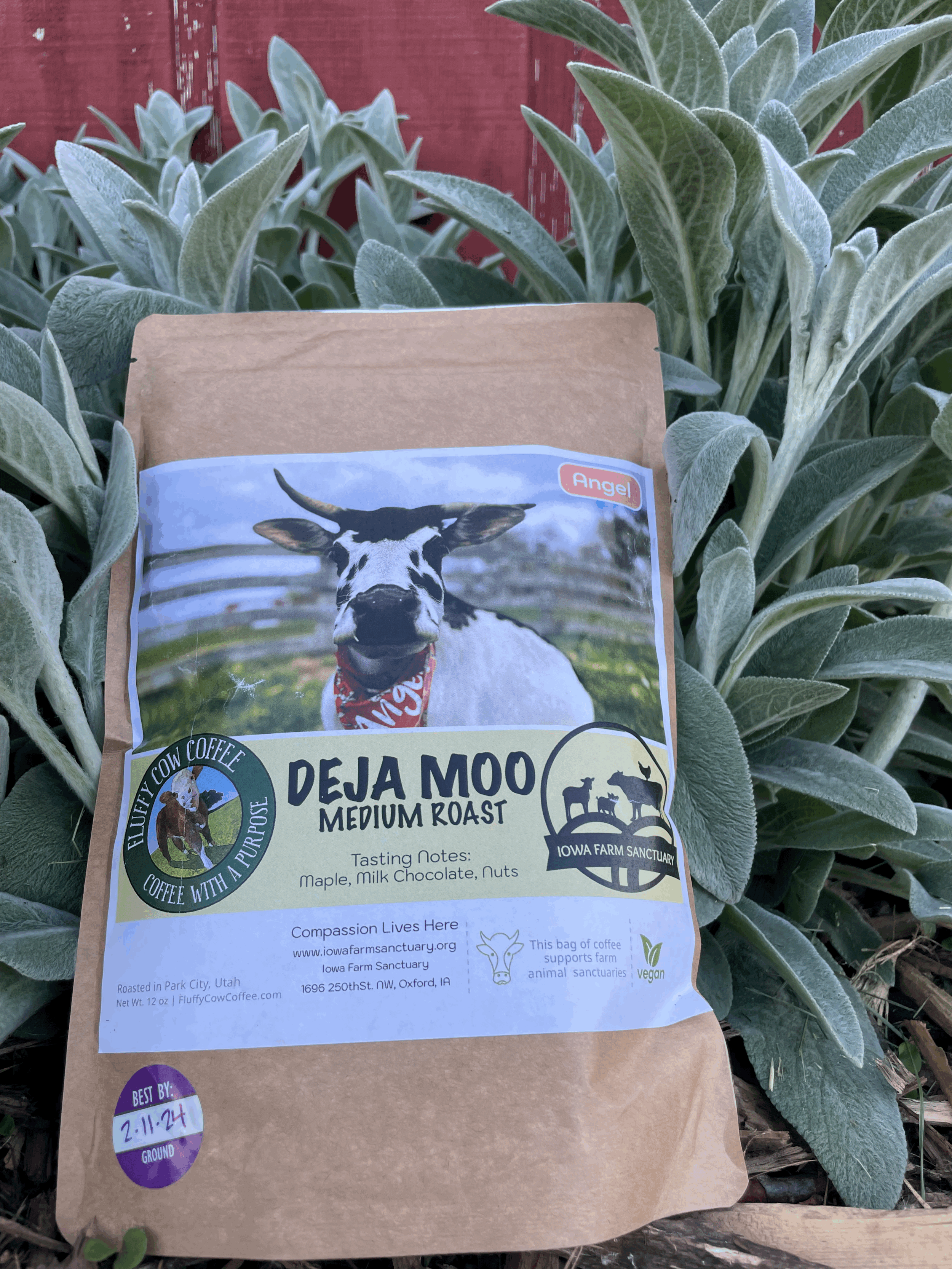 Fluffy Cow Coffee IFS Blend