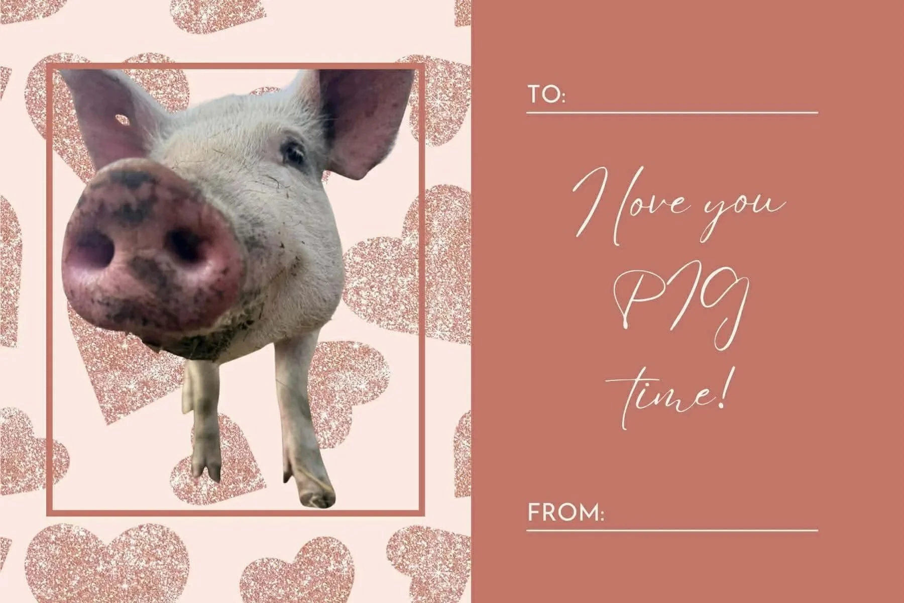 IFS 2026 Valentine's Cards