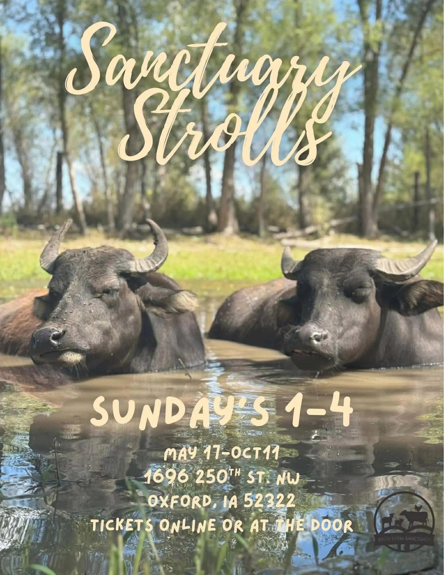 Sanctuary Strolls 2026