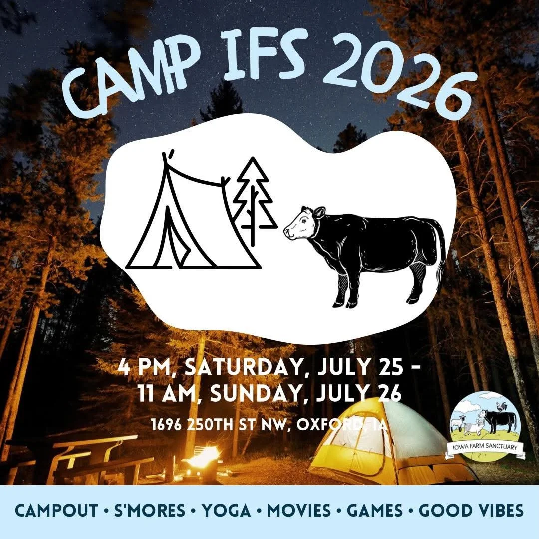 Camp IFS 2026