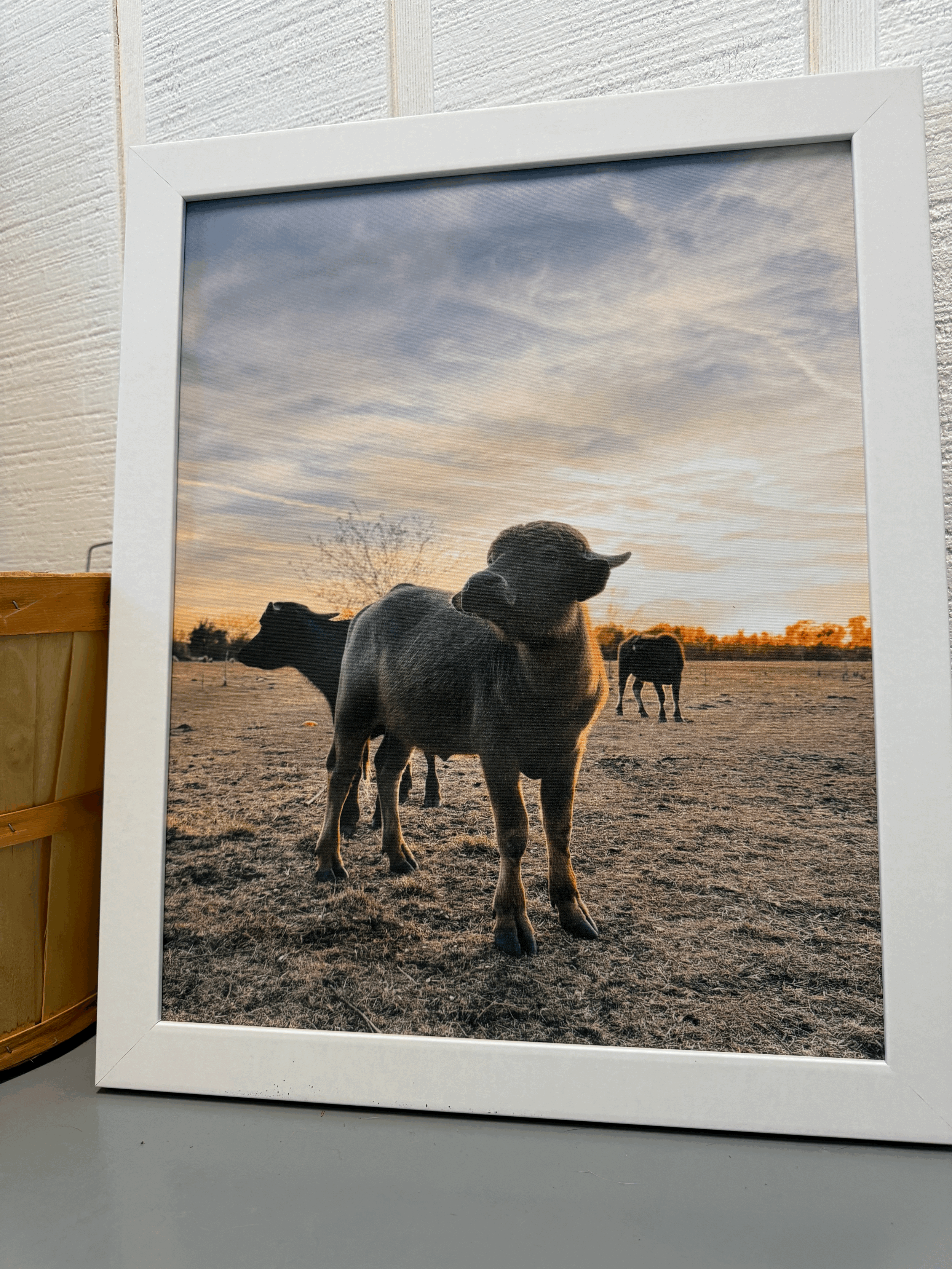 Phill and Co. Framed Canvas Print