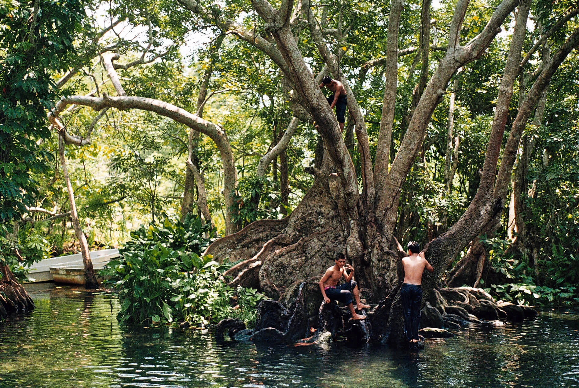 Poza de los Enanos Sontecomapan
