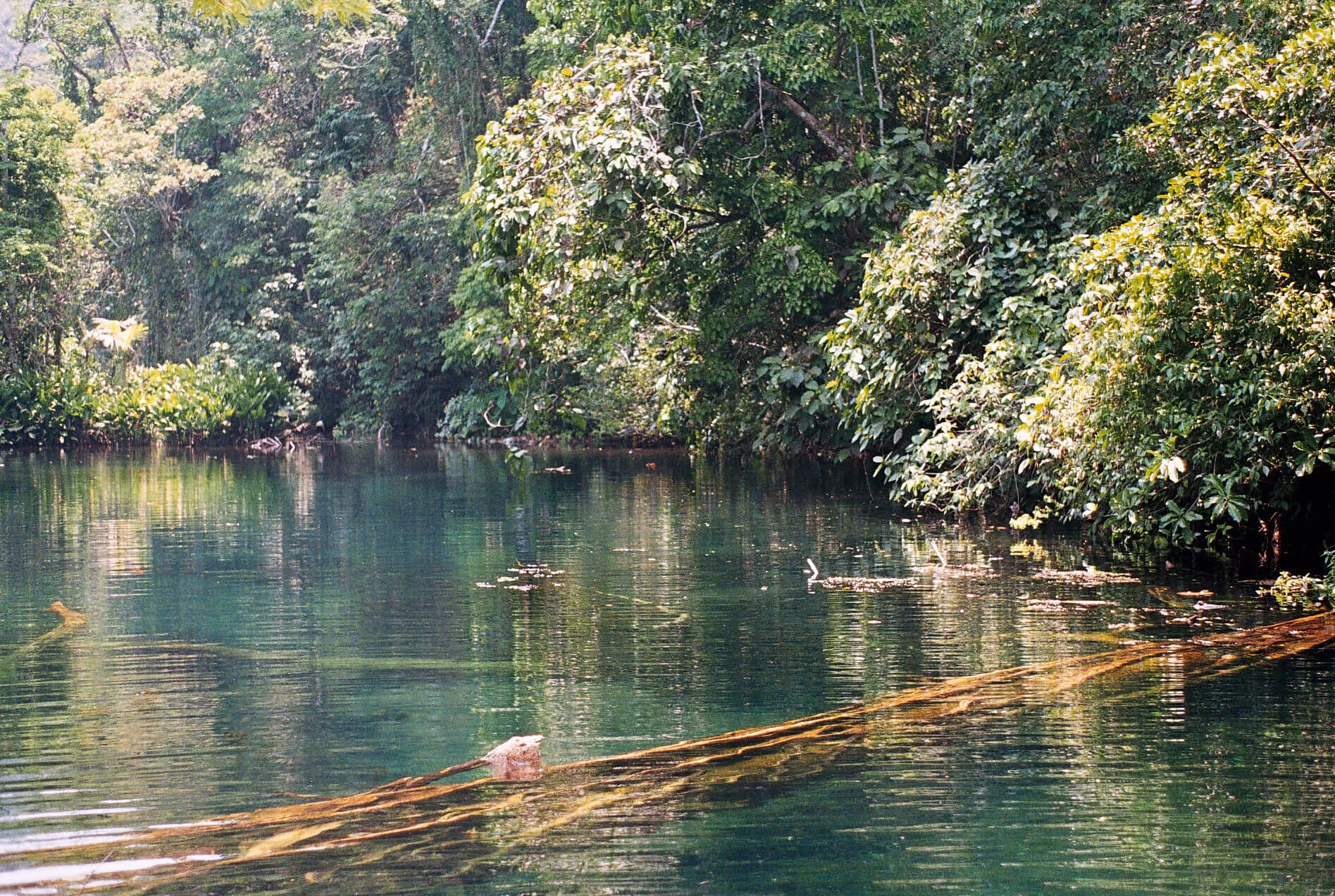 11. Poza laguna Escondida.jpg