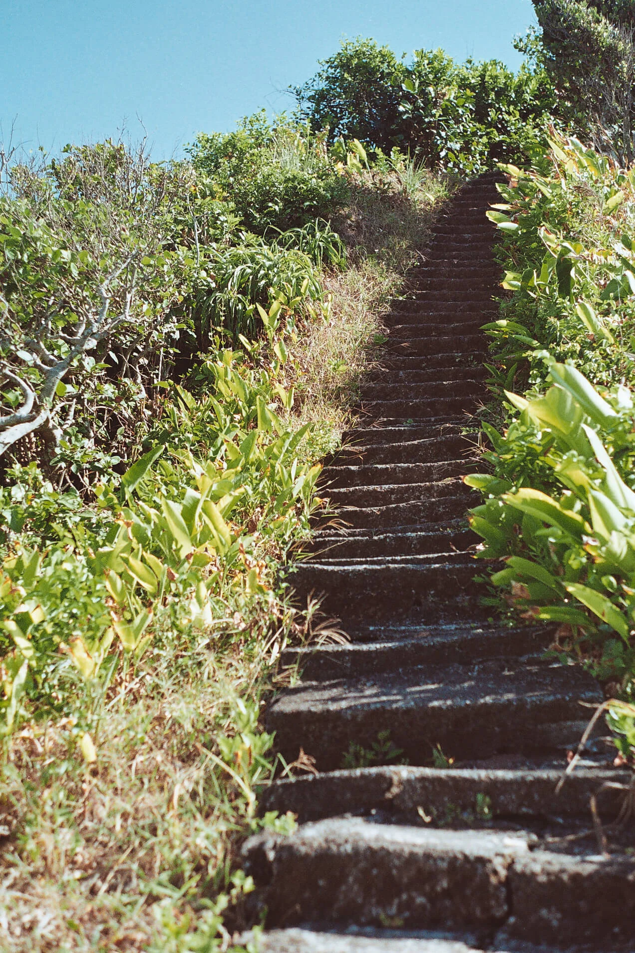14. Escaleras Escondida 01.jpg