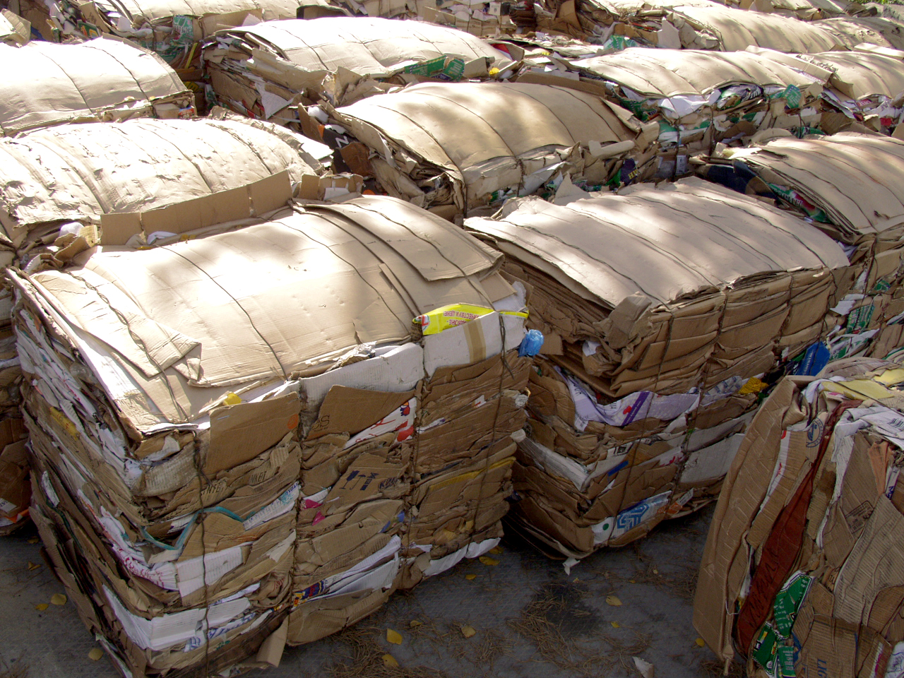 Cardboard-Bales.jpg