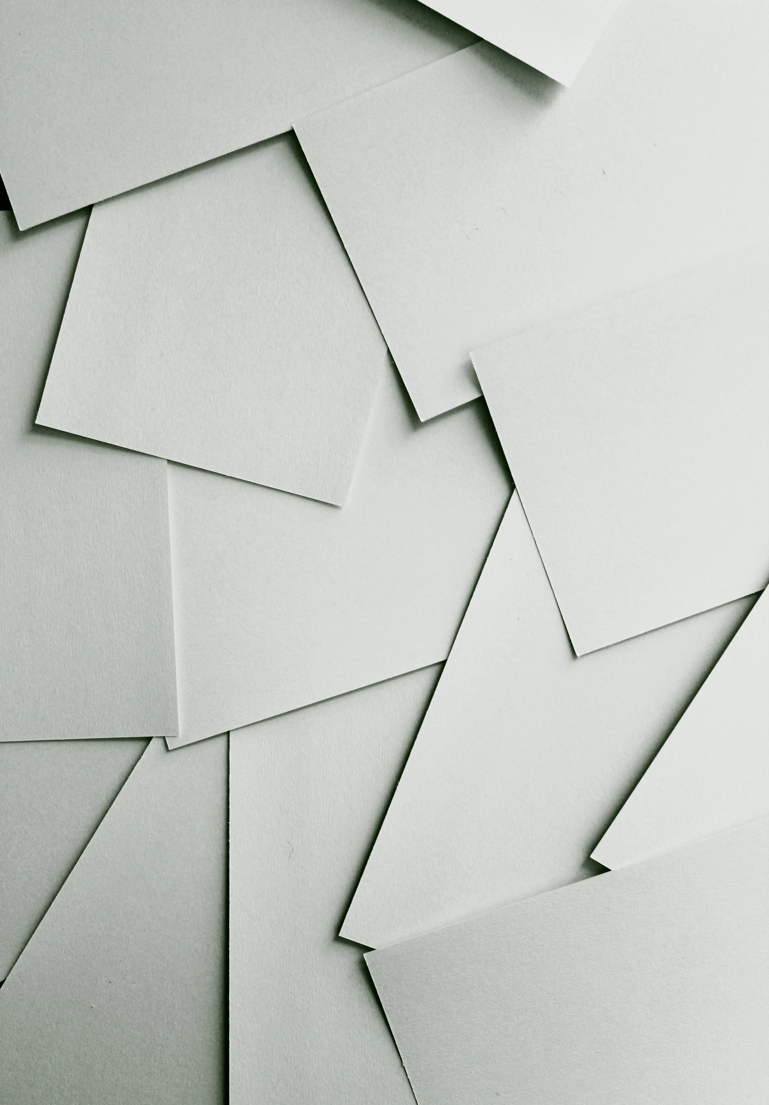 Paper Web.jpg