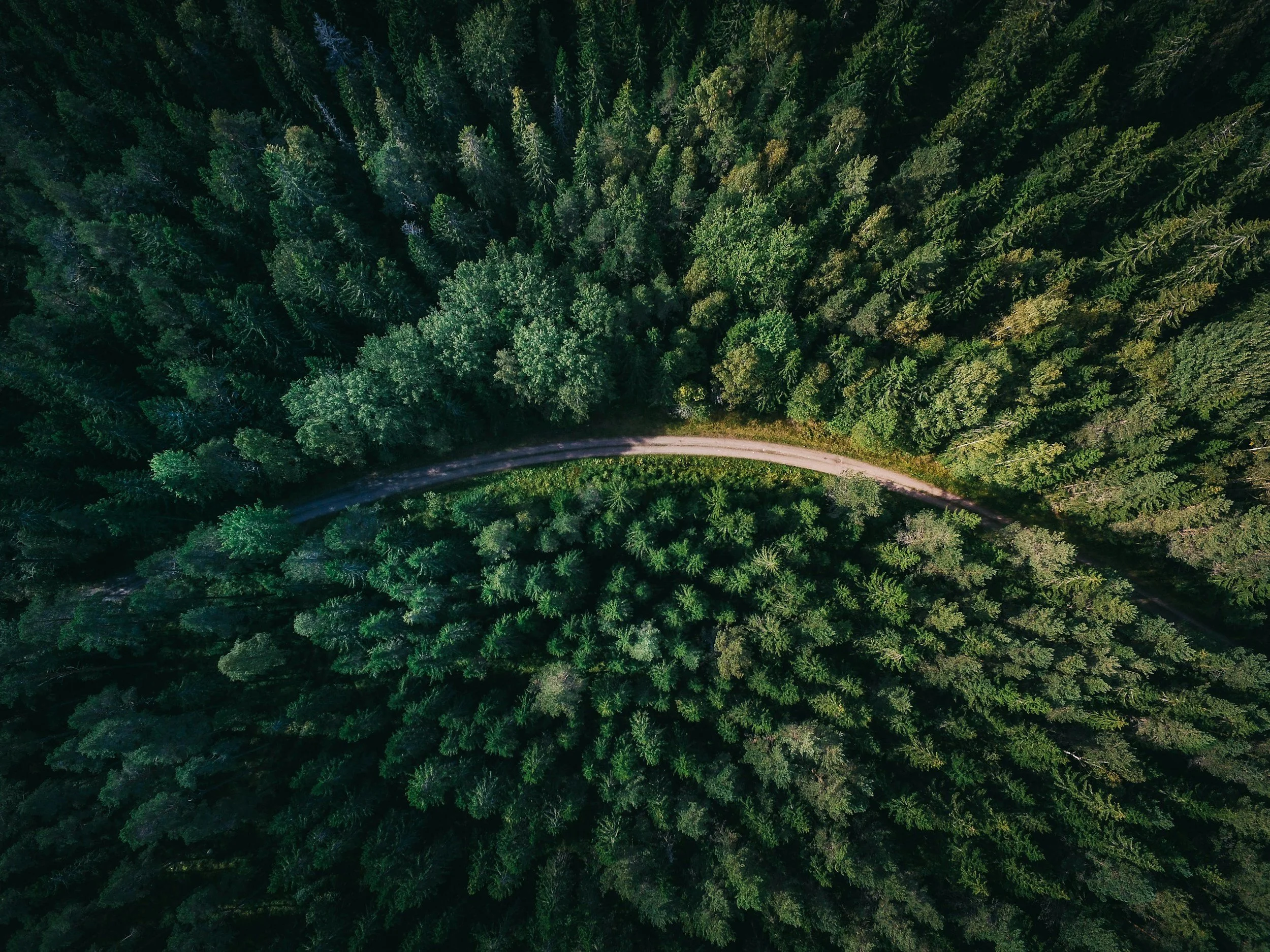 unsplash-image-qzgN45hseN0.jpg