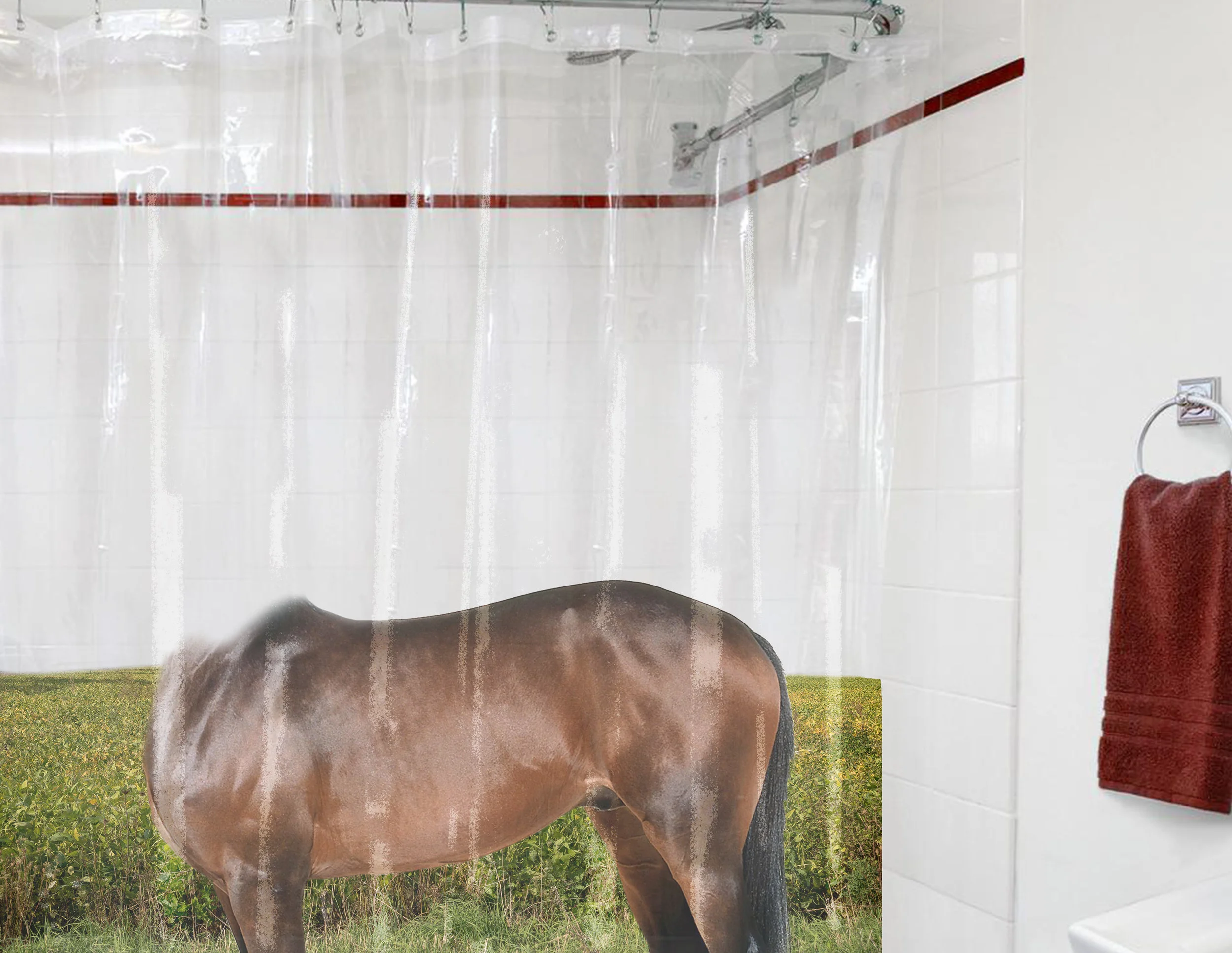 Showercurtain.jpg