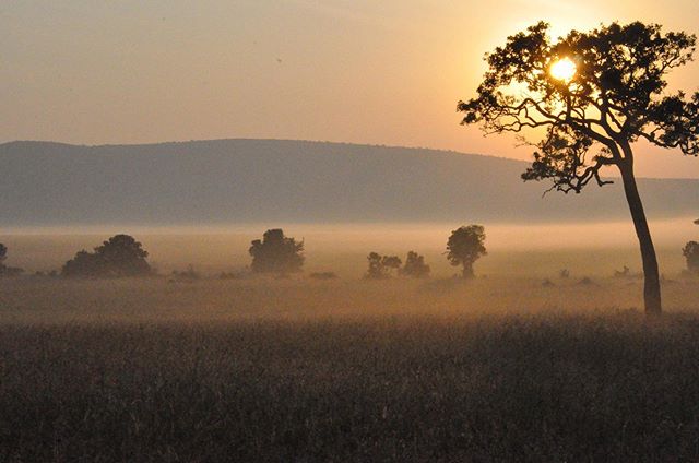 &ldquo;I never knew of a morning in Africa when I woke up and was not happy.&rdquo; - Ernest Hemingway