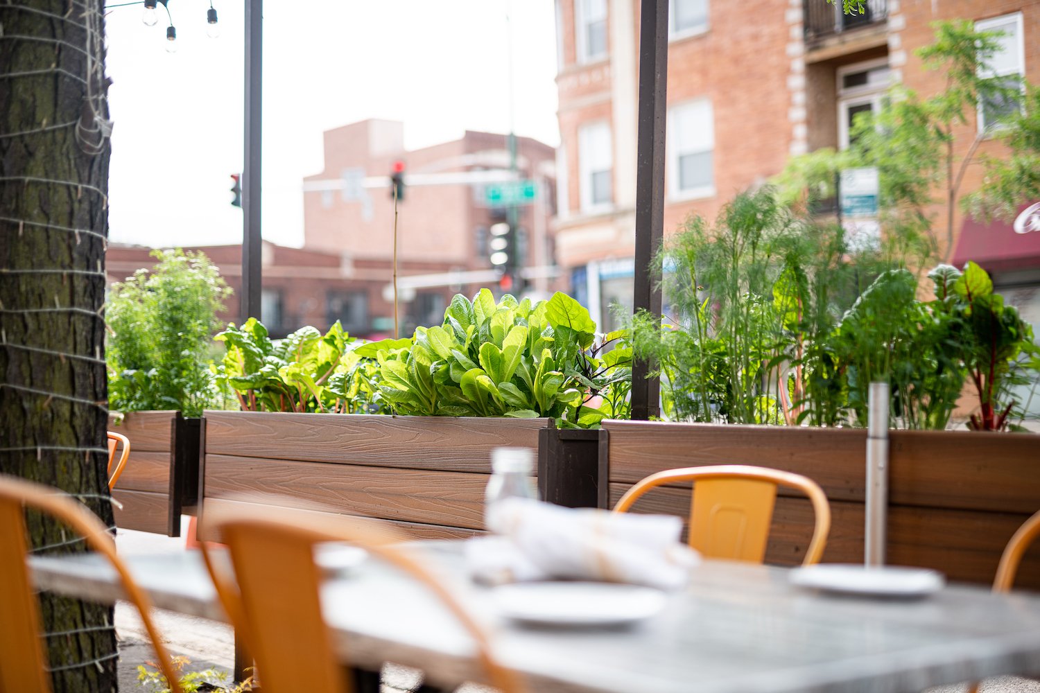 Sidewalk Cafe Plants 2.jpg