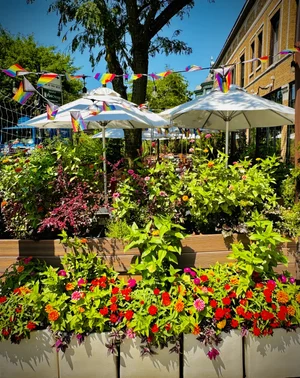 Uncommon Ground - Lakeview Restaurant & Cafe - Wrigleyville Brewery Bar