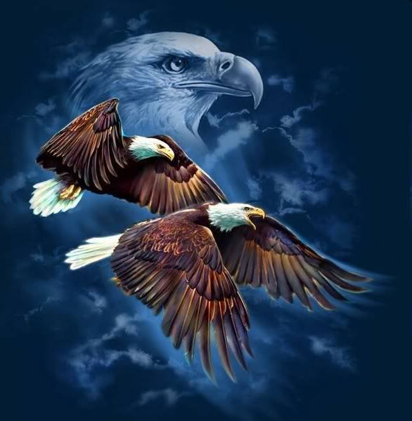 Eagles Flight Advocacy & Outreach