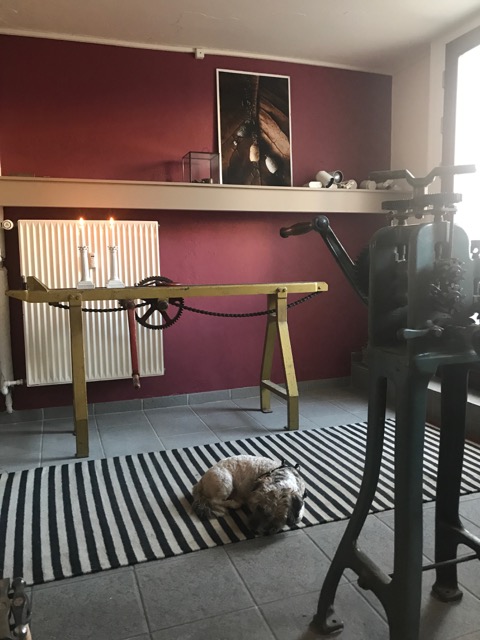 image6.jpeg