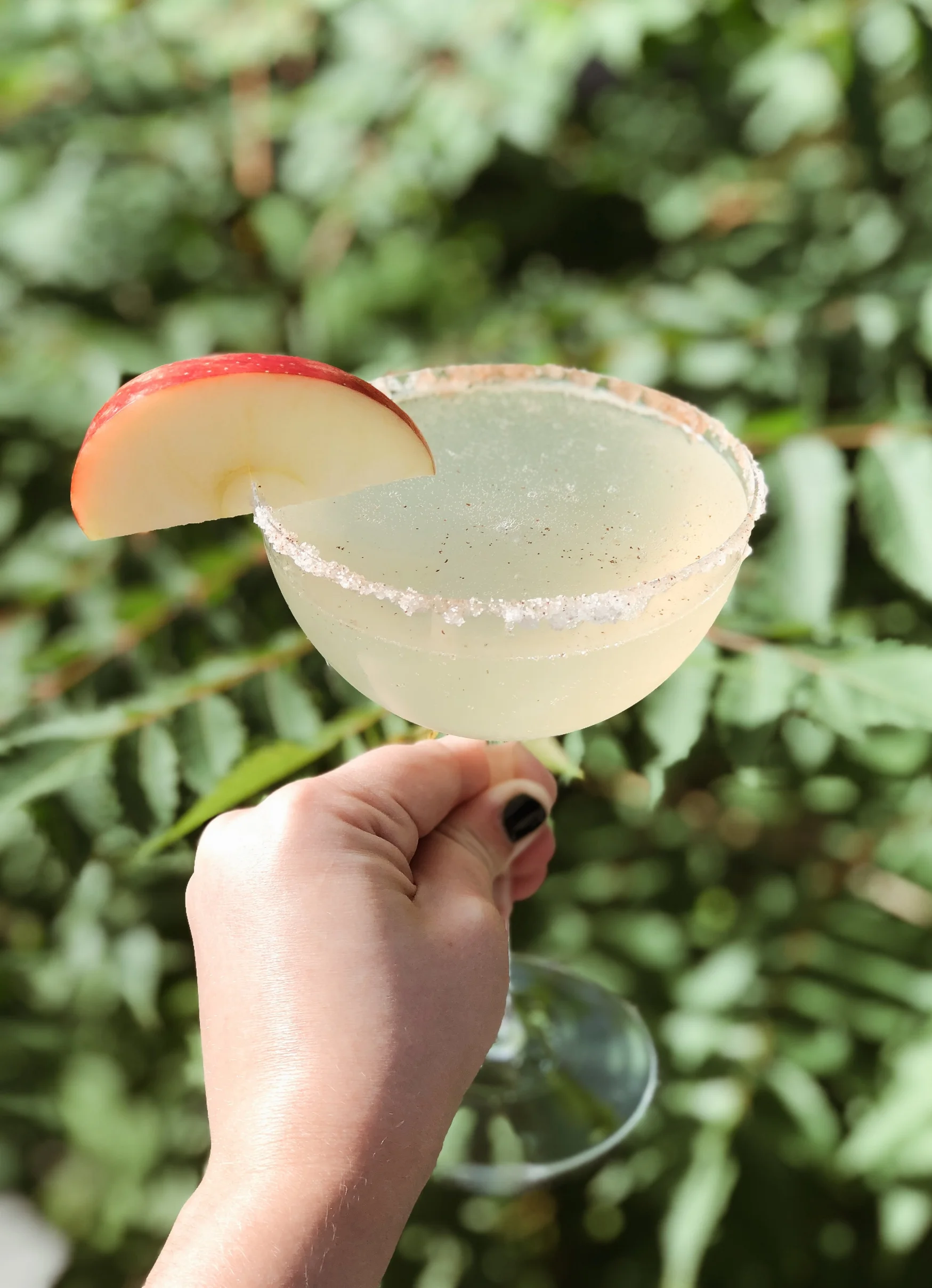 Honey Crisp Apple Cider Spritzer
