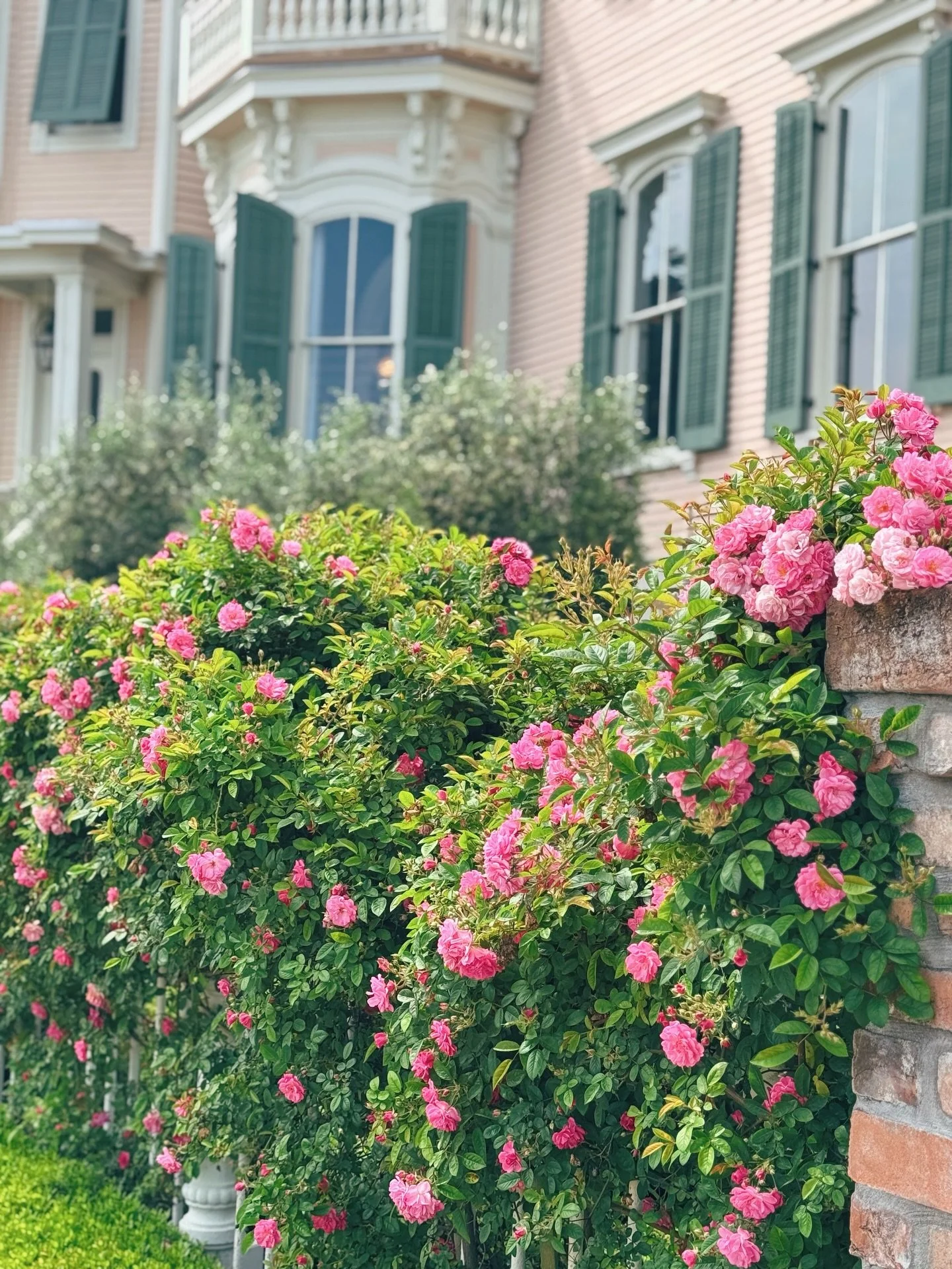 Feels like spring is here 🙌🏻🌱🌷 My absolute favorite time of year is the next few months. Everything starts blooming, it&rsquo;s lighter longer and we&rsquo;re outside from sun up to sun down. 

These pics are from last year in about a month. The 