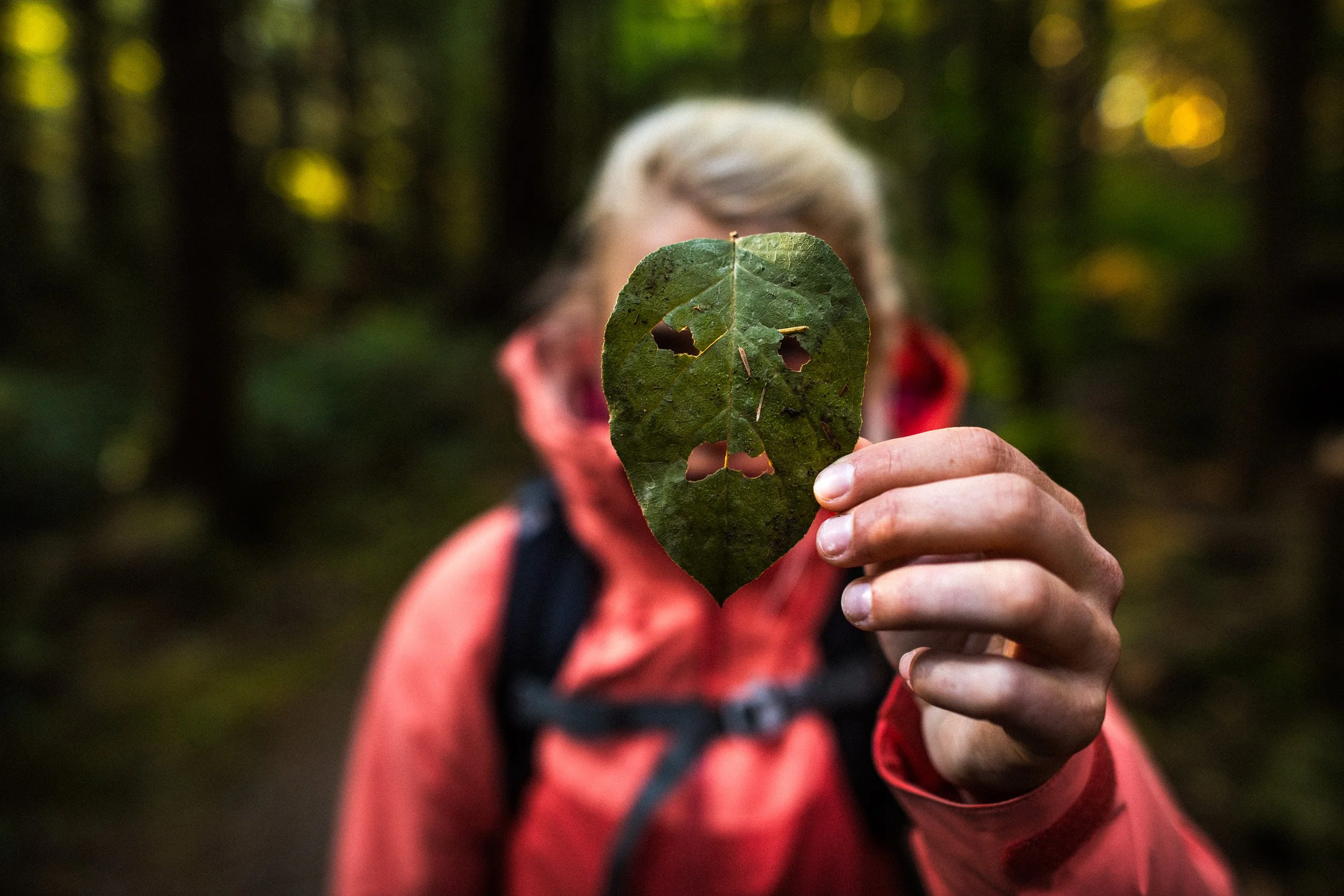 Person in red jacket holding a green leaf with holes, hiding their face in a forest.