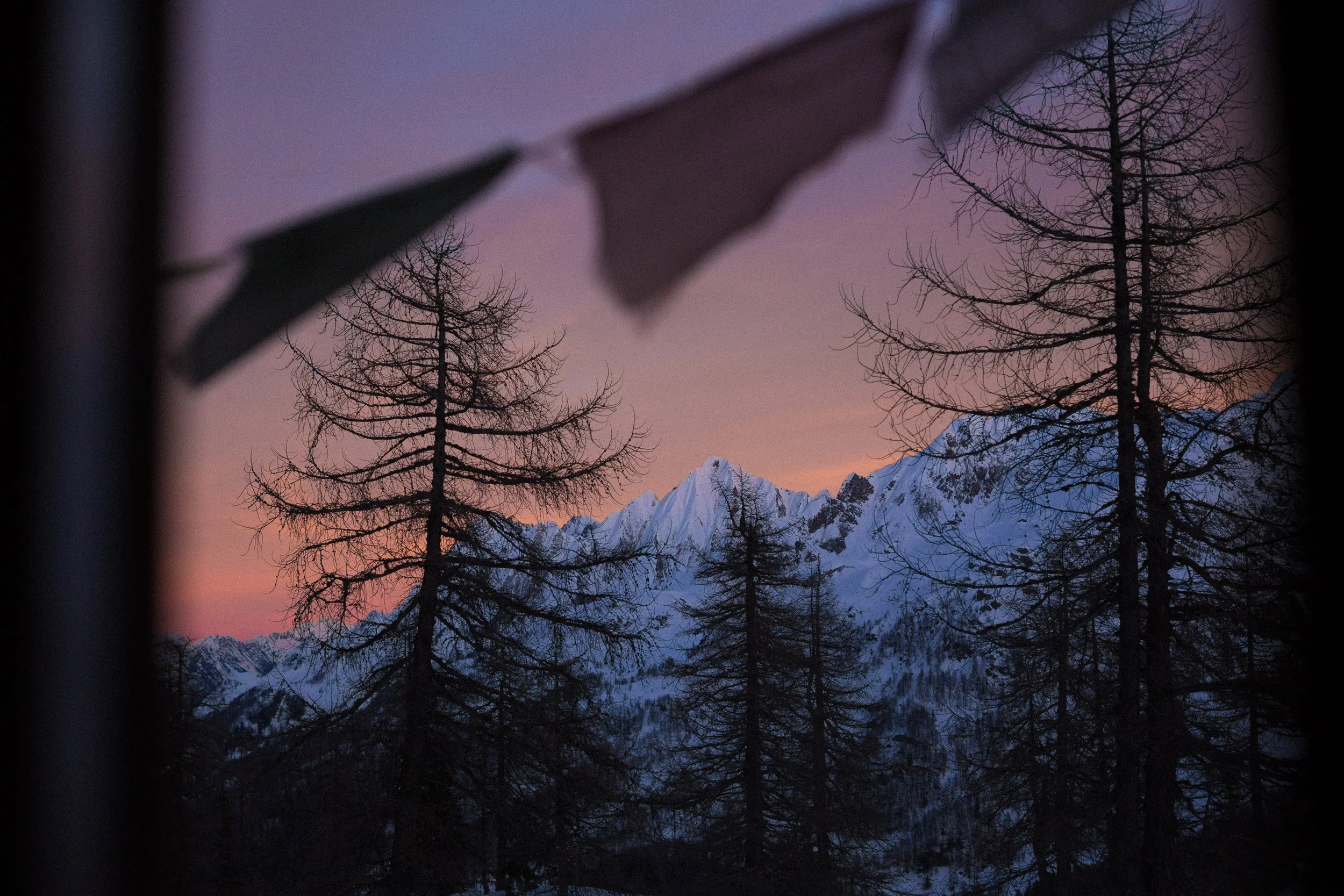 Snow-capped mountain peaks at sunset viewed through leafless trees and a window frame with torn fabric.