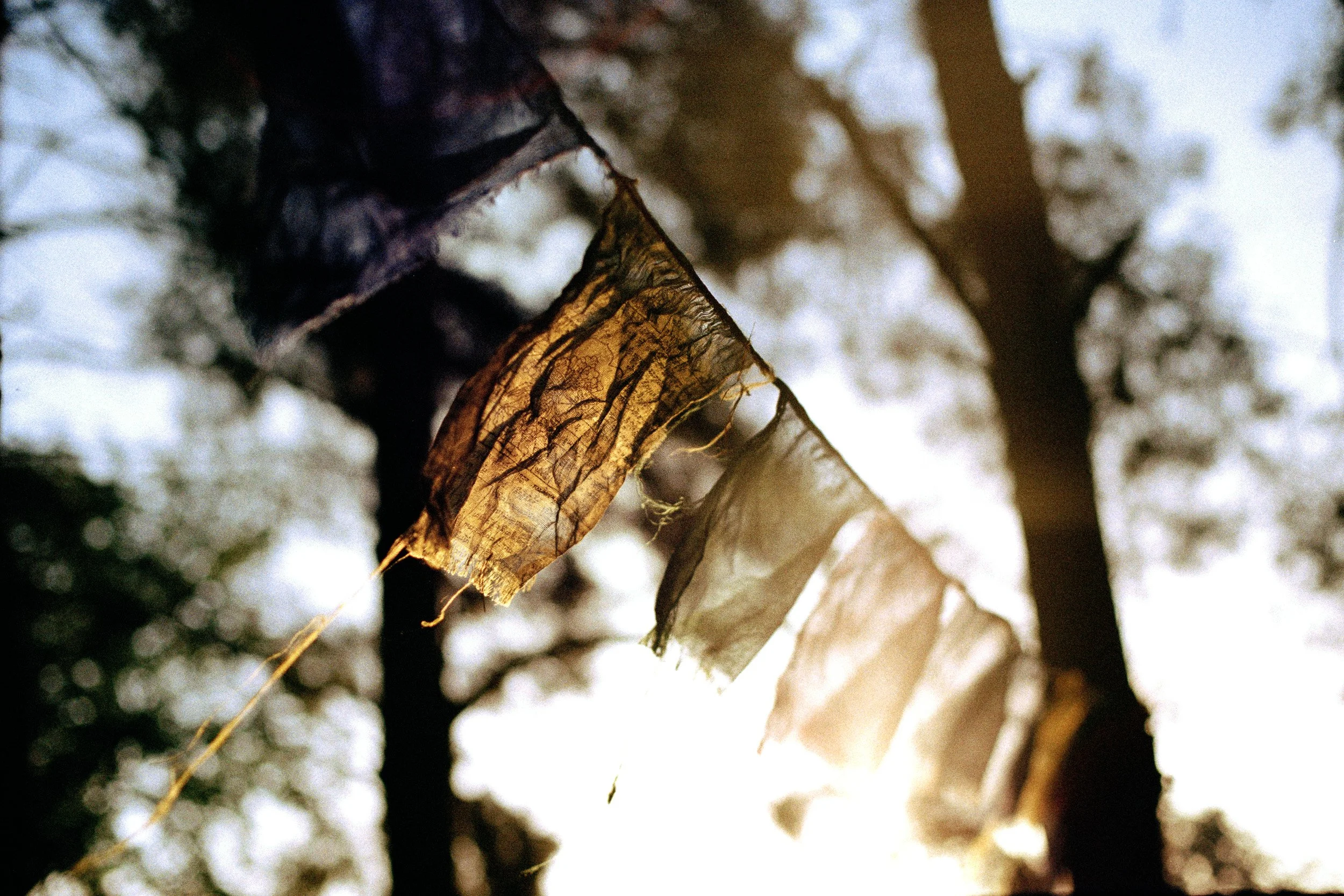 Close-up of worn, tattered prayer flags hanging outdoors with sunlight shining through, blurred trees in the background.