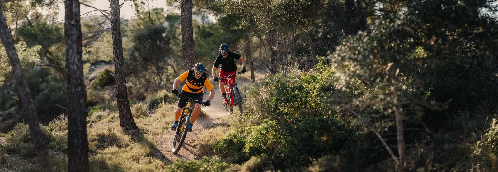 Two mountain bikers riding on a dirt trail in a wooded forest, surrounded by trees and bushes.