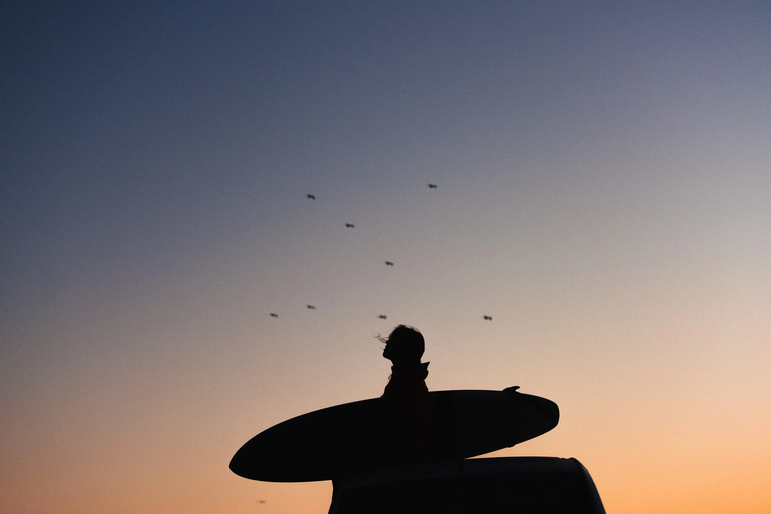 Silhouette of a person with a surfboard on a car roof, standing outdoors during sunset with a flock of birds flying in the sky.