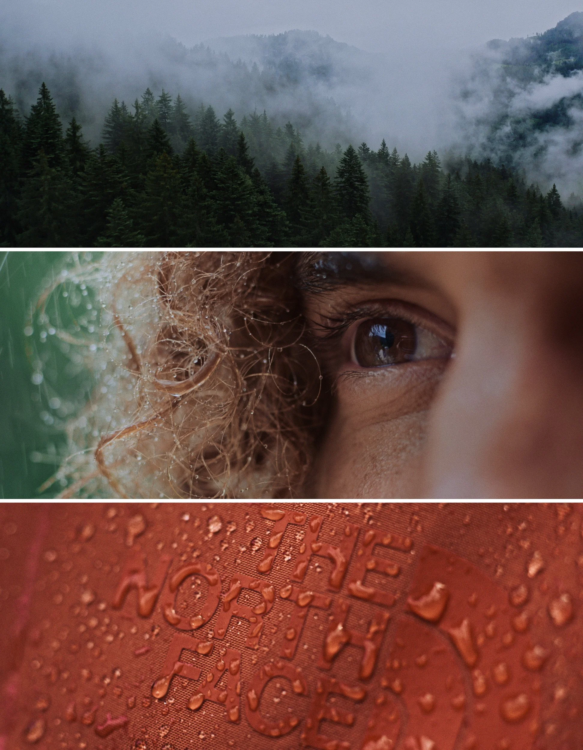 Three horizontal sections showing different scenes: top section of a foggy forest with tall evergreen trees, middle section a close-up of a person's eye with water droplets and wet curly hair, bottom section a close-up of an orange fabric with water 