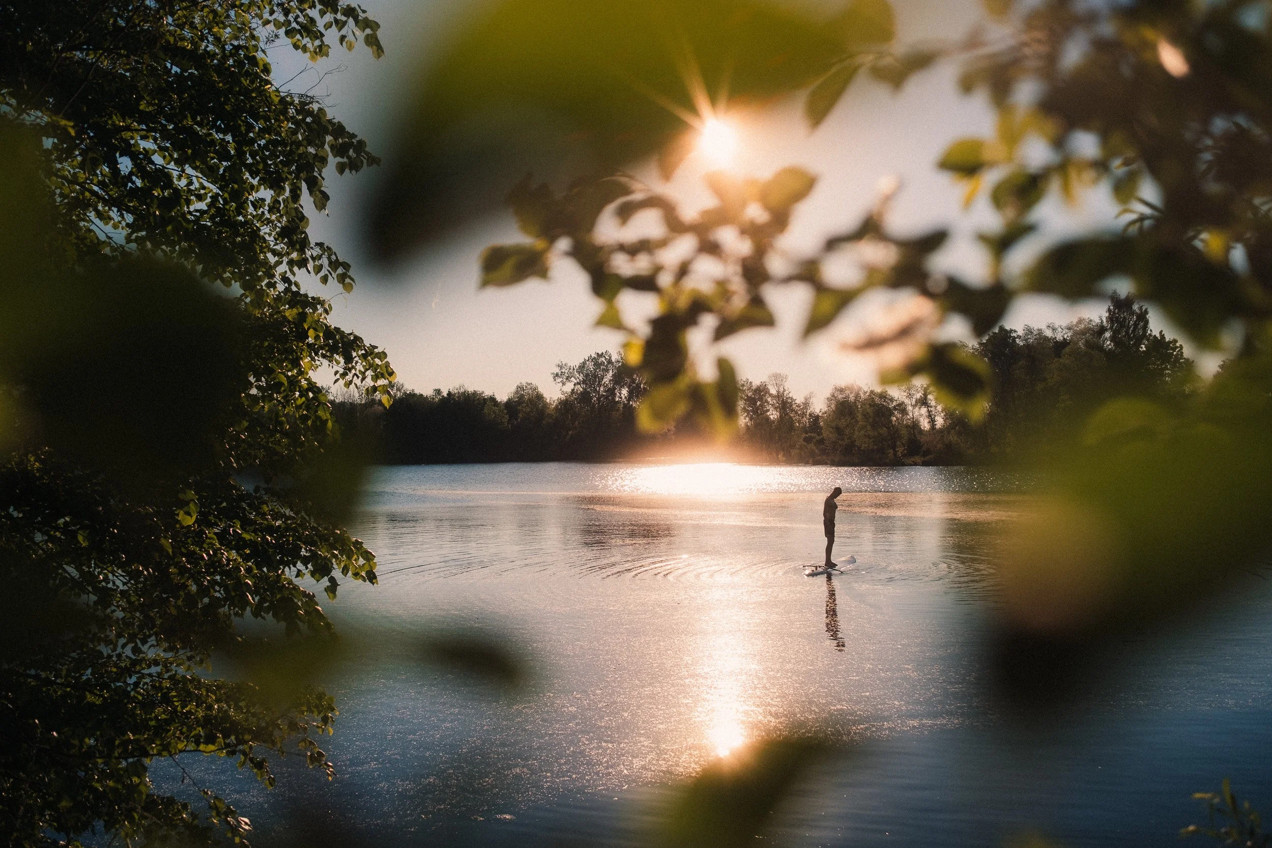 A person stand-up paddleboarding on a calm lake during sunset, framed by tree branches and leaves in the foreground.