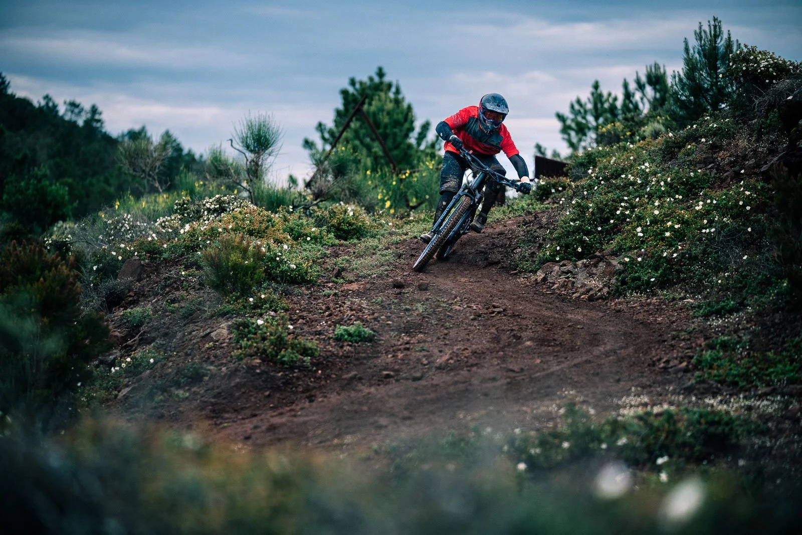 A mountain biker in a red and blue outfit riding downhill on a dirt trail amidst green shrubs and flowering plants, with a cloudy sky overhead.