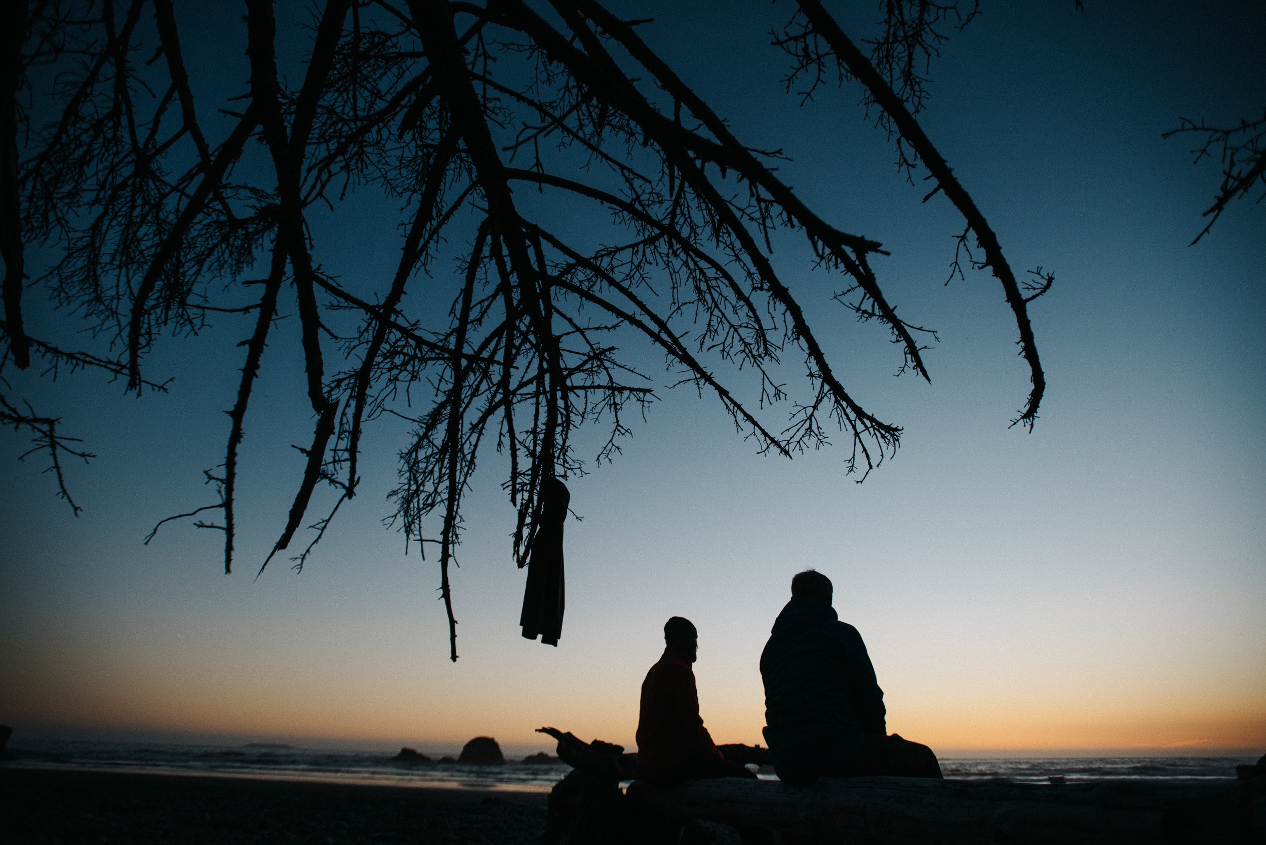 Silhouettes of two people sitting on a bench at the beach during sunset, with a large tree with bare branches in the foreground.