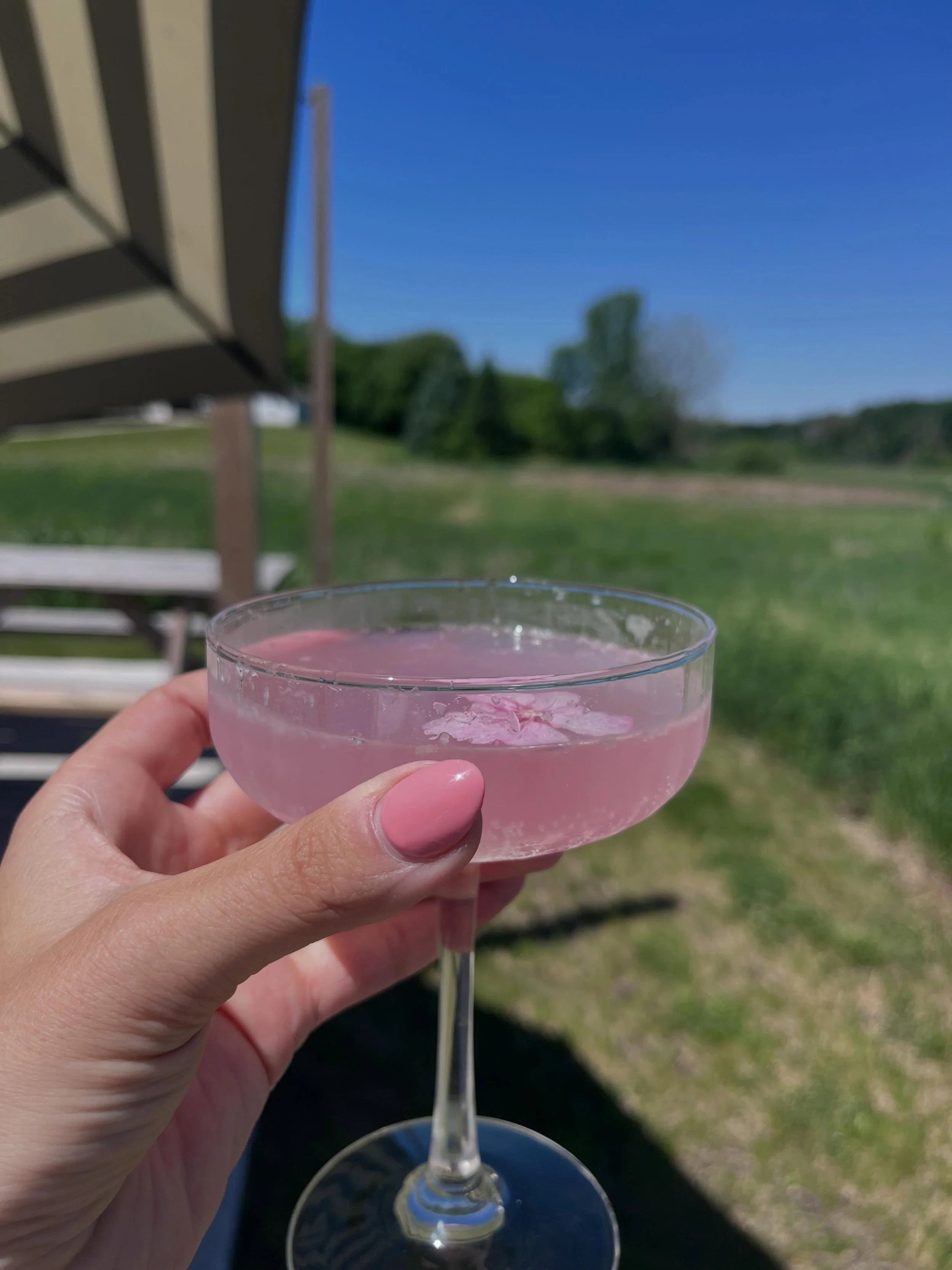 A perfect stop before or after an afternoon on the lake 😎💅 #alexandriamn #lakeida #explorealexmn