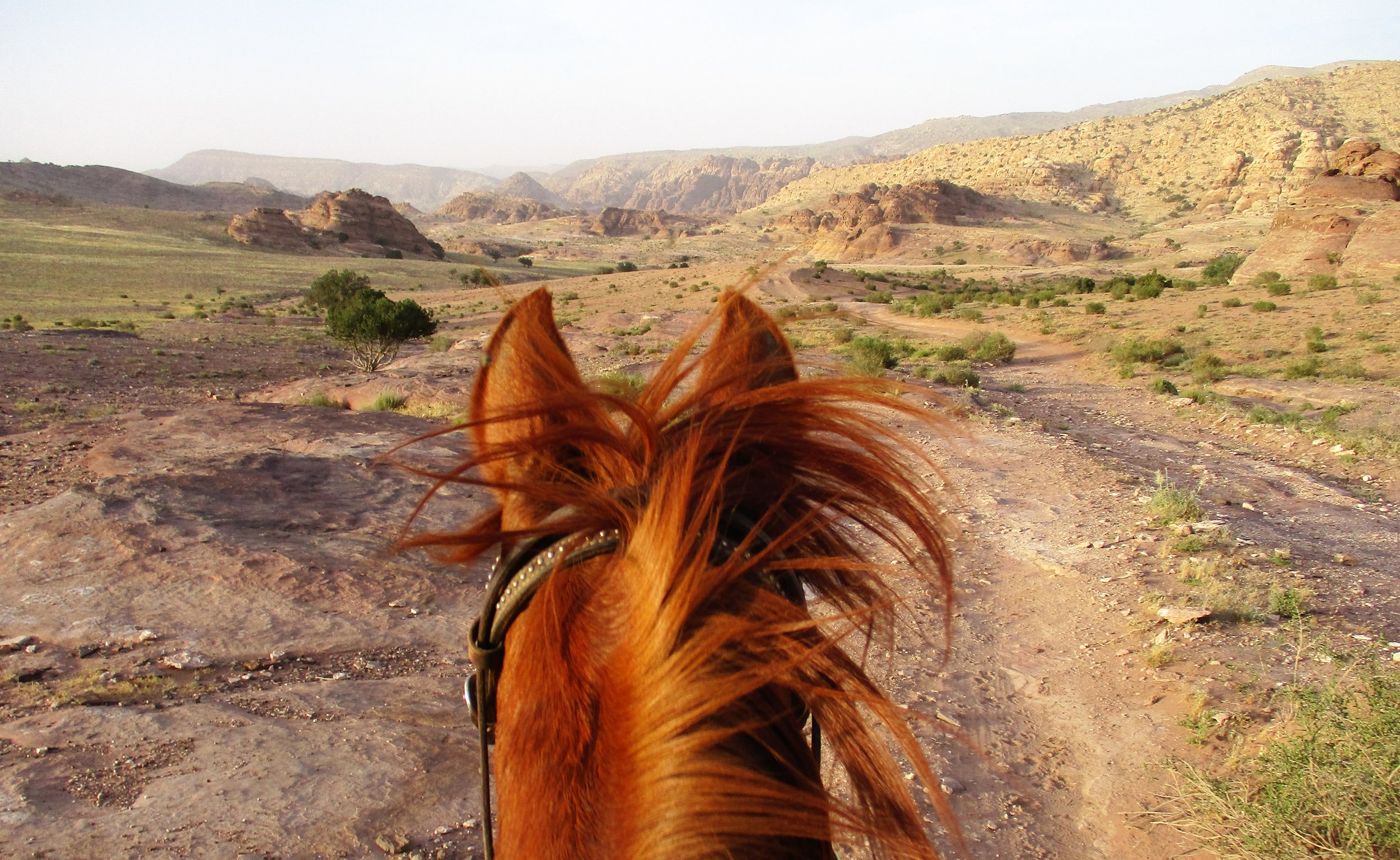 Little Petra 9.JPG