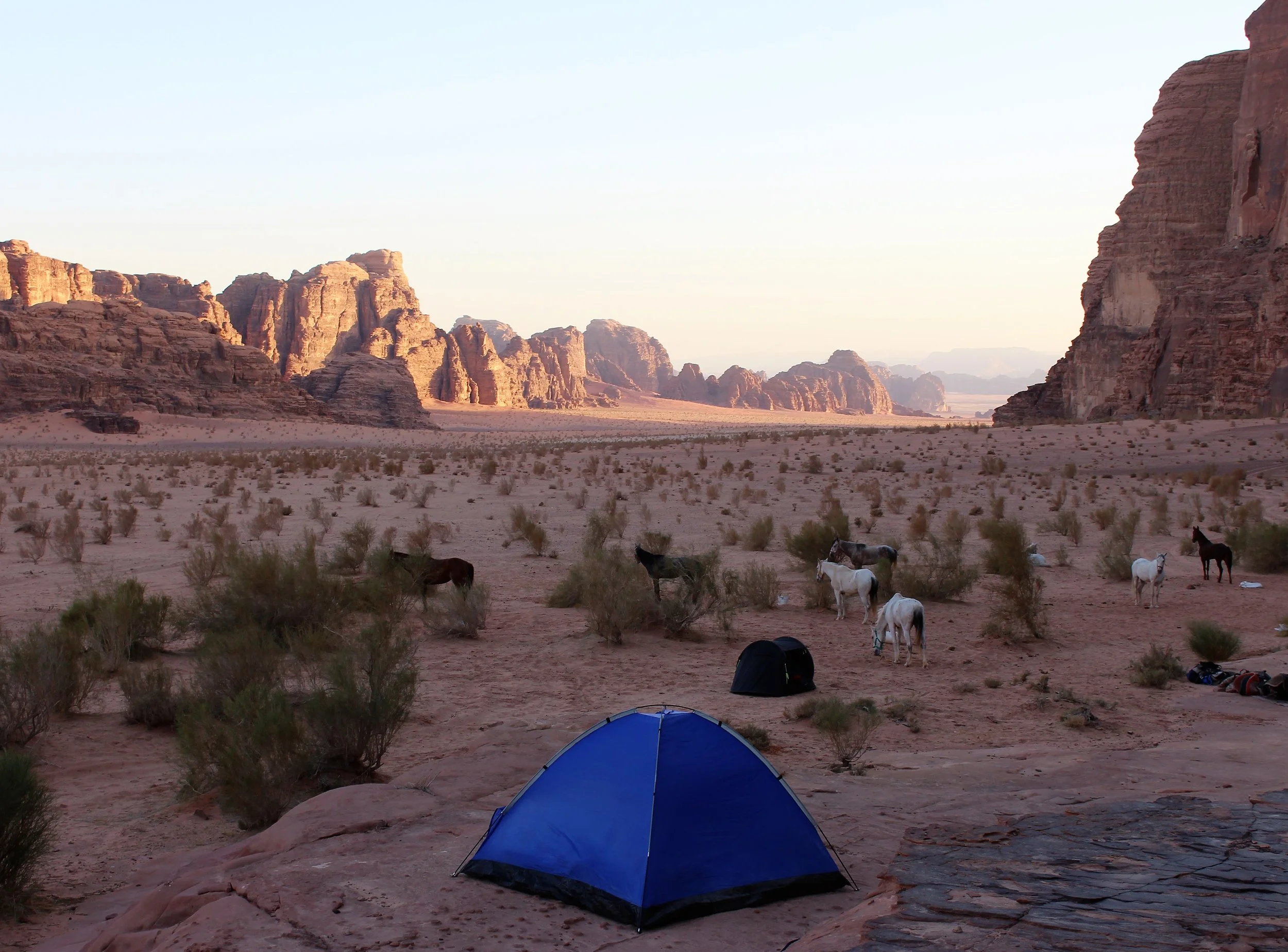 Horse Riding Tours Jordan 17