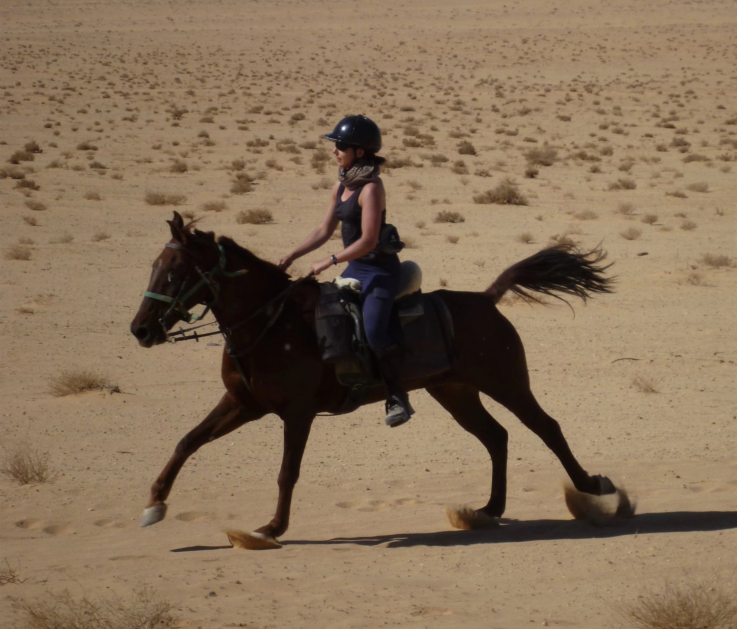 Horse Riding Tours Jordan 20