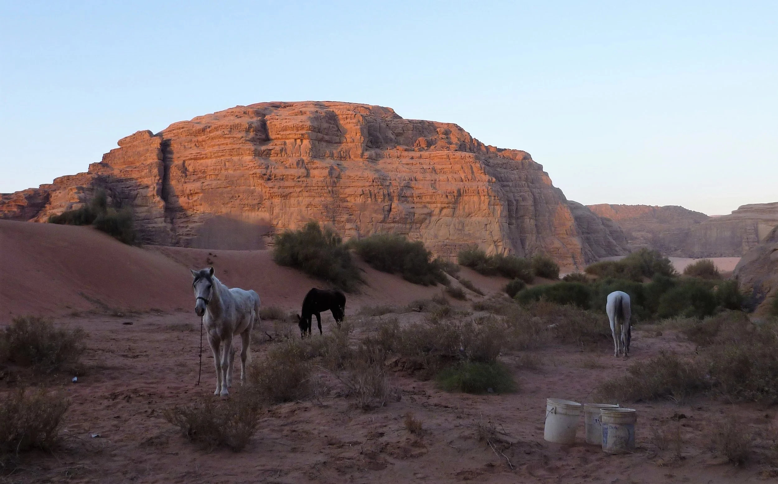 Horse Riding Tours Jordan 23