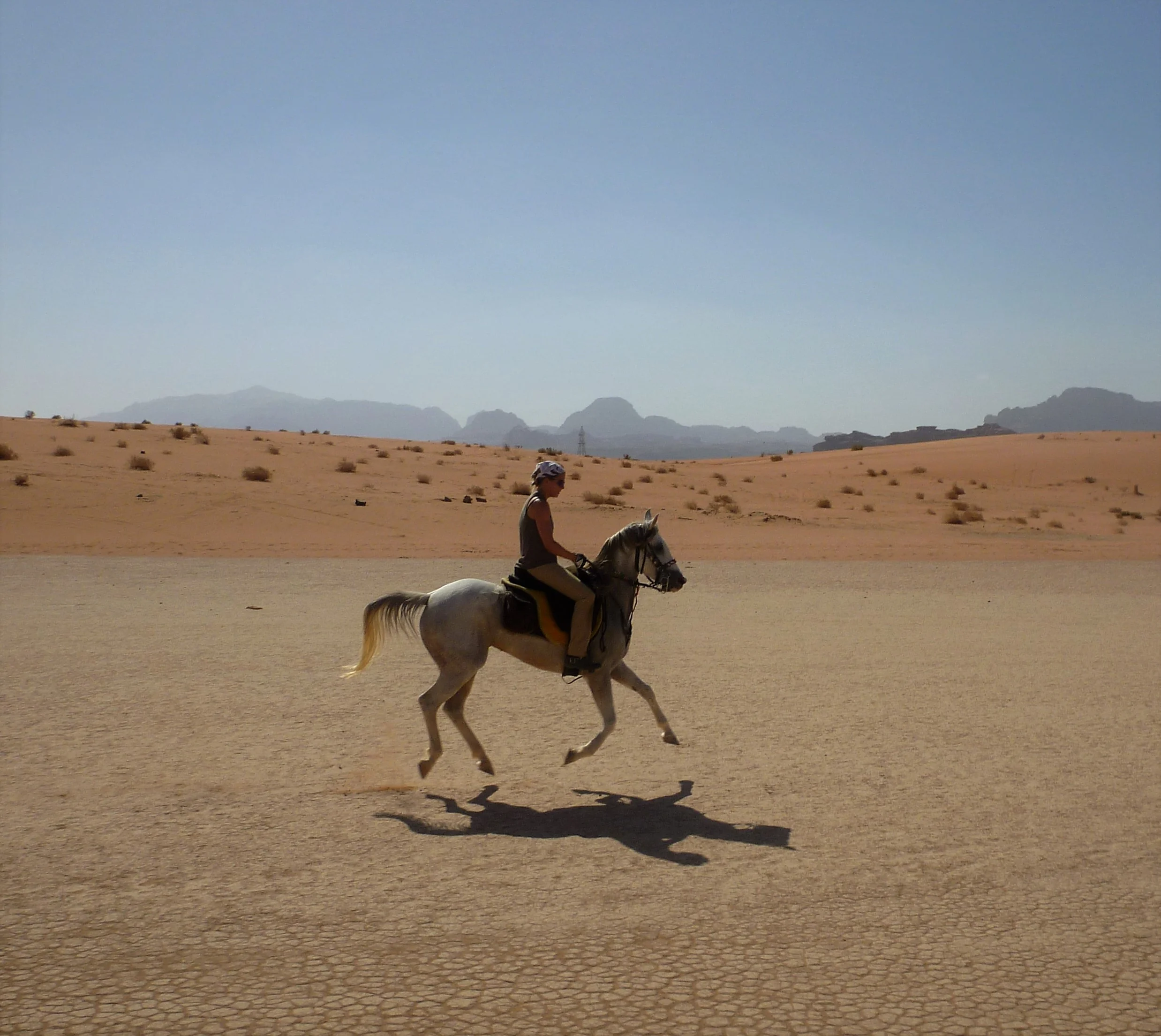 Horse Riding Tours Jordan 24