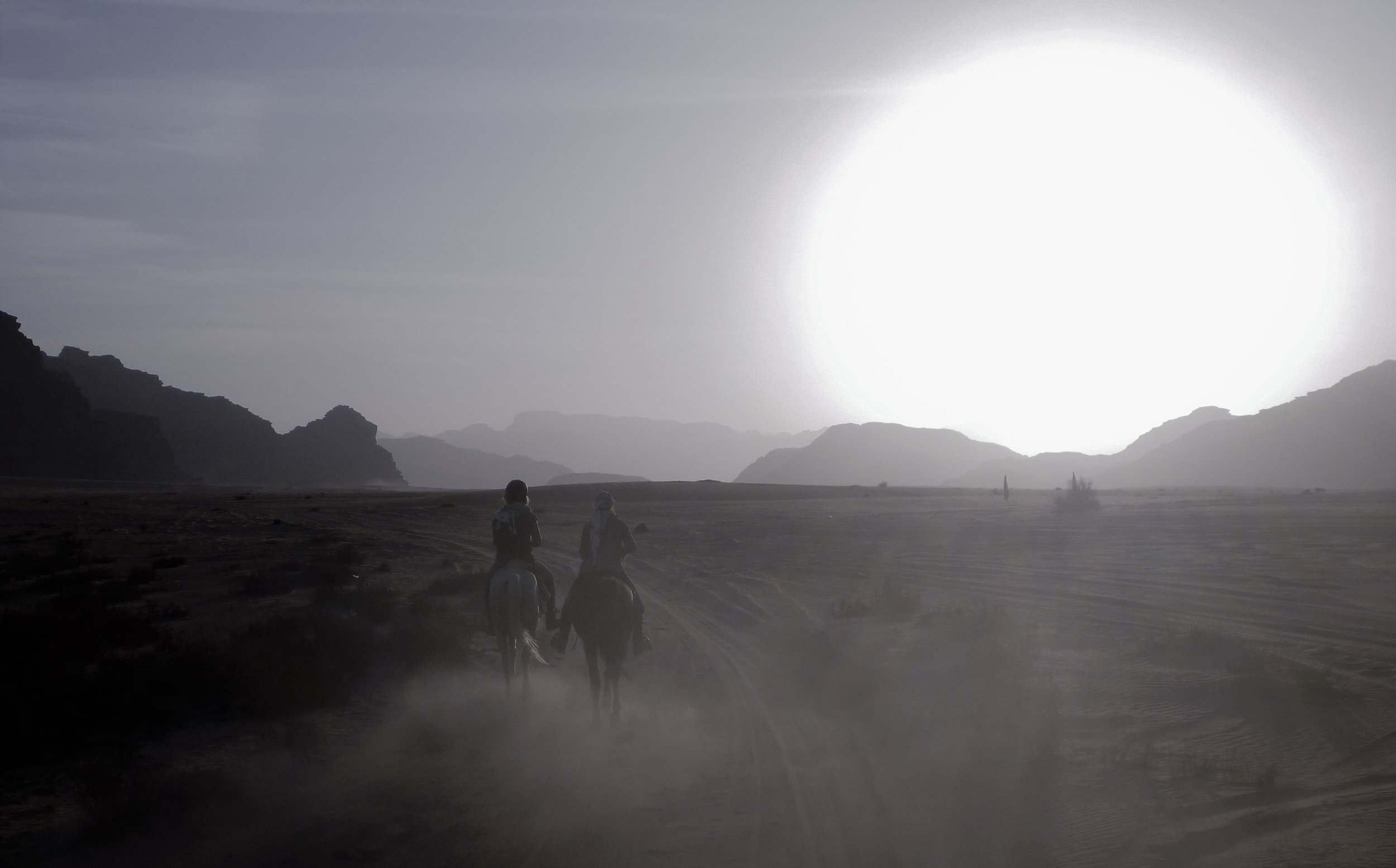 Horse Riding Tours Jordan 25