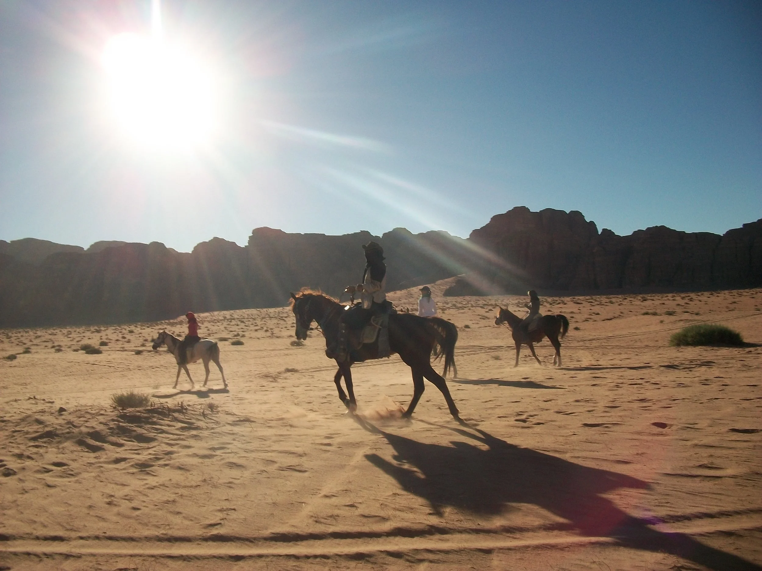 Horse Riding Tours Jordan 27