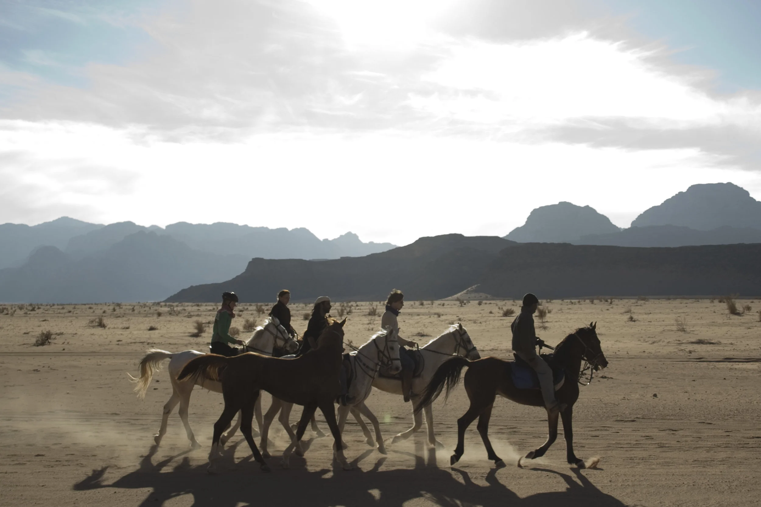 Horse Riding Tours 32